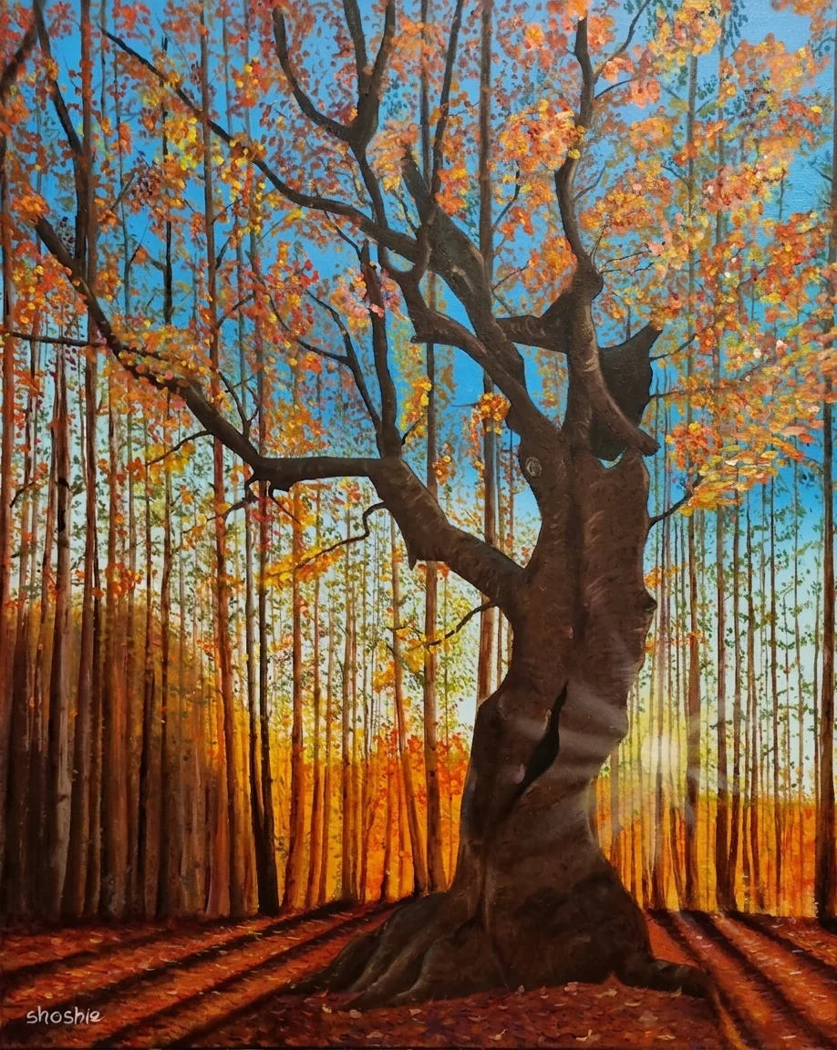 Autumn Light Through Trees | Shoshie Katz | Paintings | Under 1000