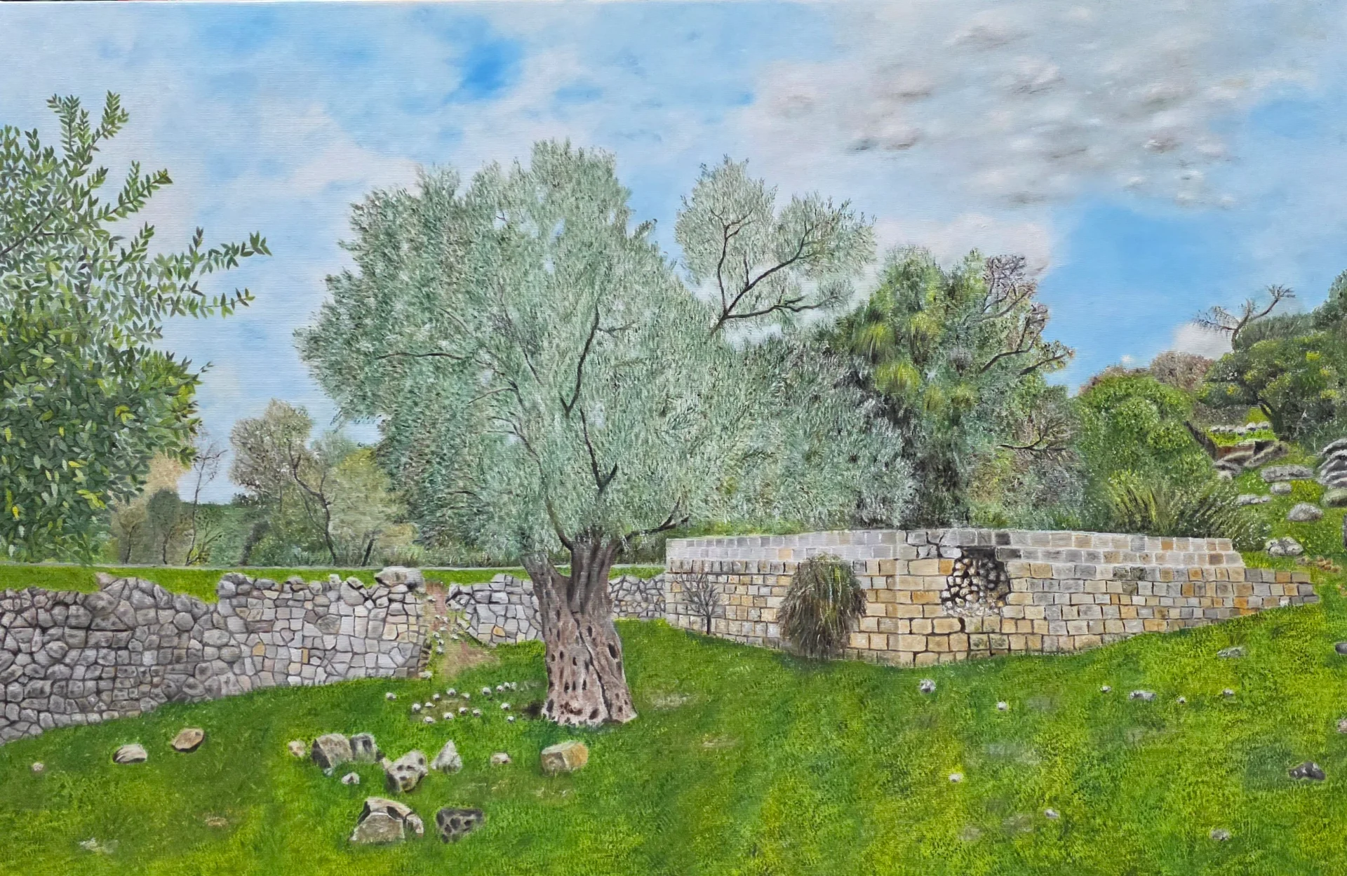 Nahal Oren - Mount Carmel National Park