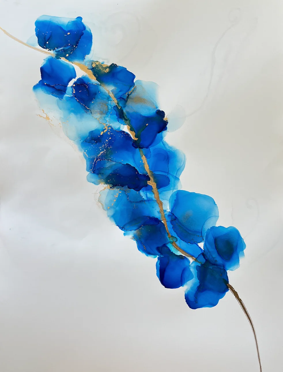 Butterfly Pea