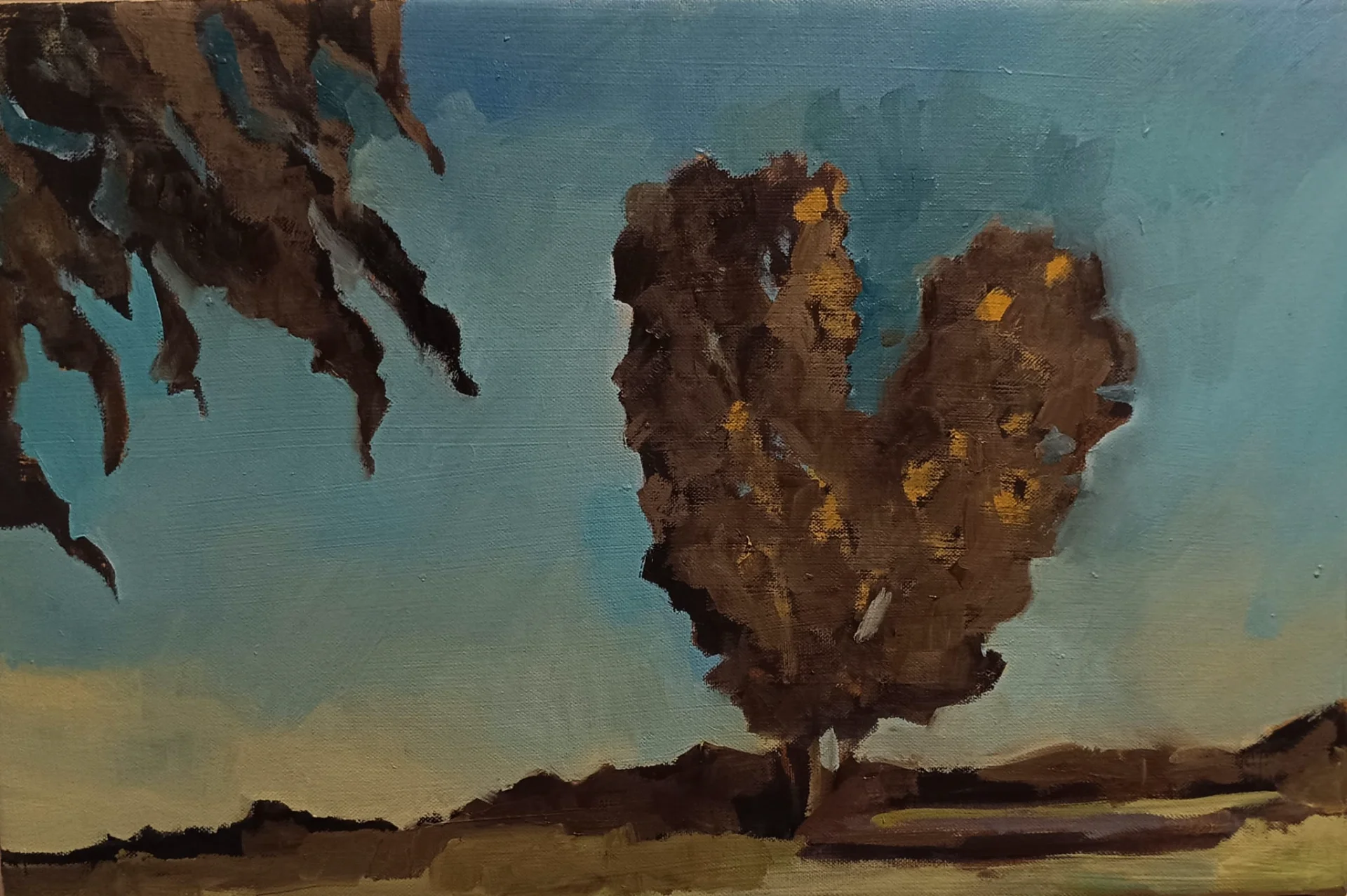 tree in the field