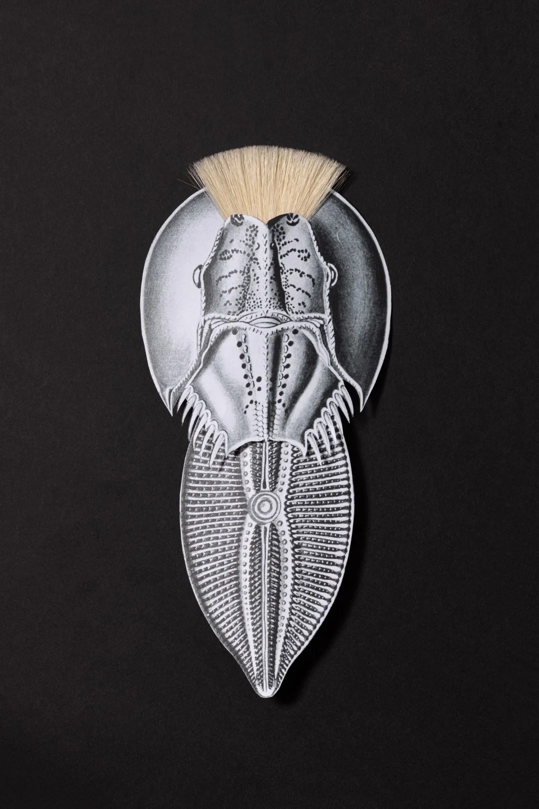 אלכימיה של נייר