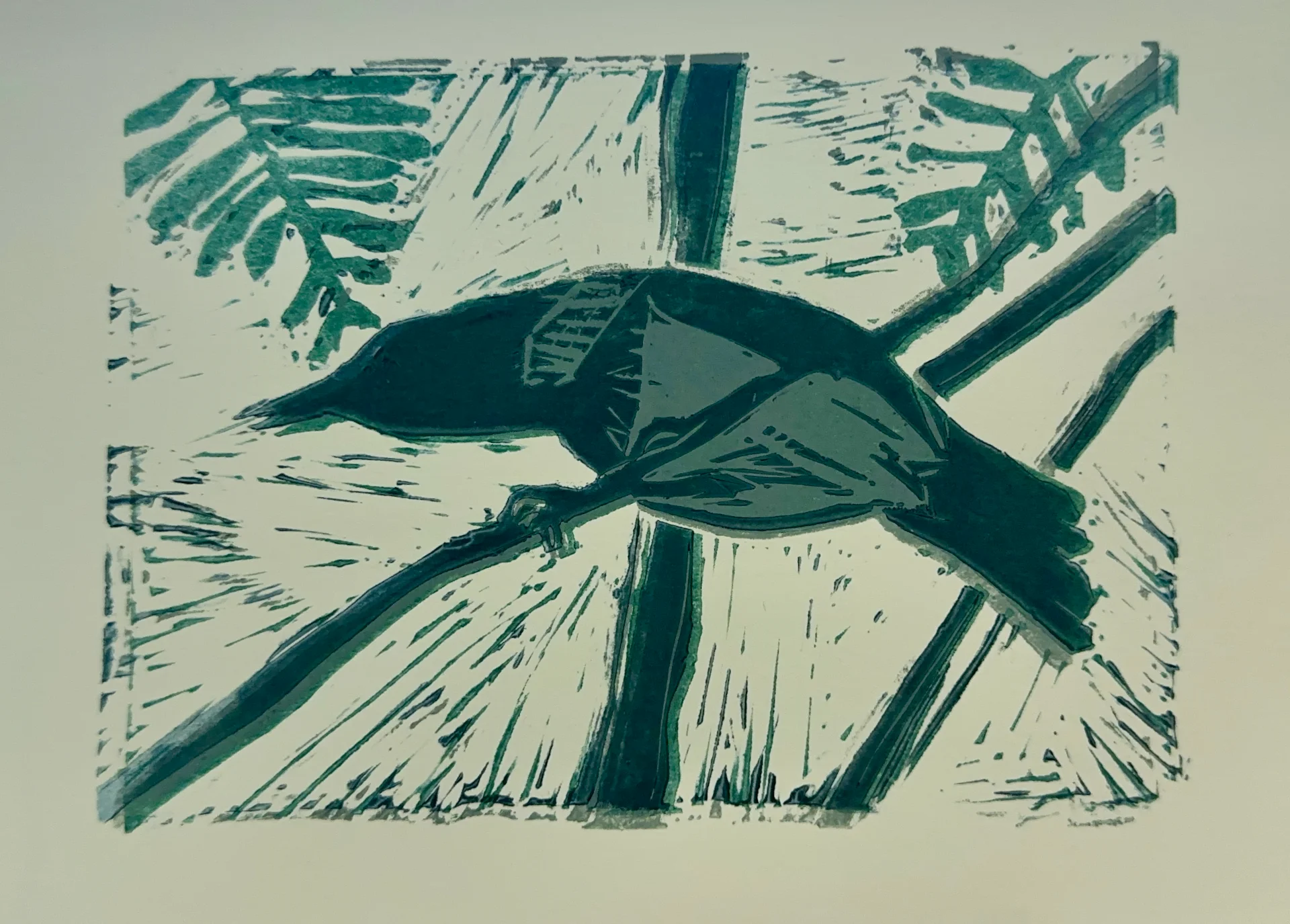 עורב בחצר שלי