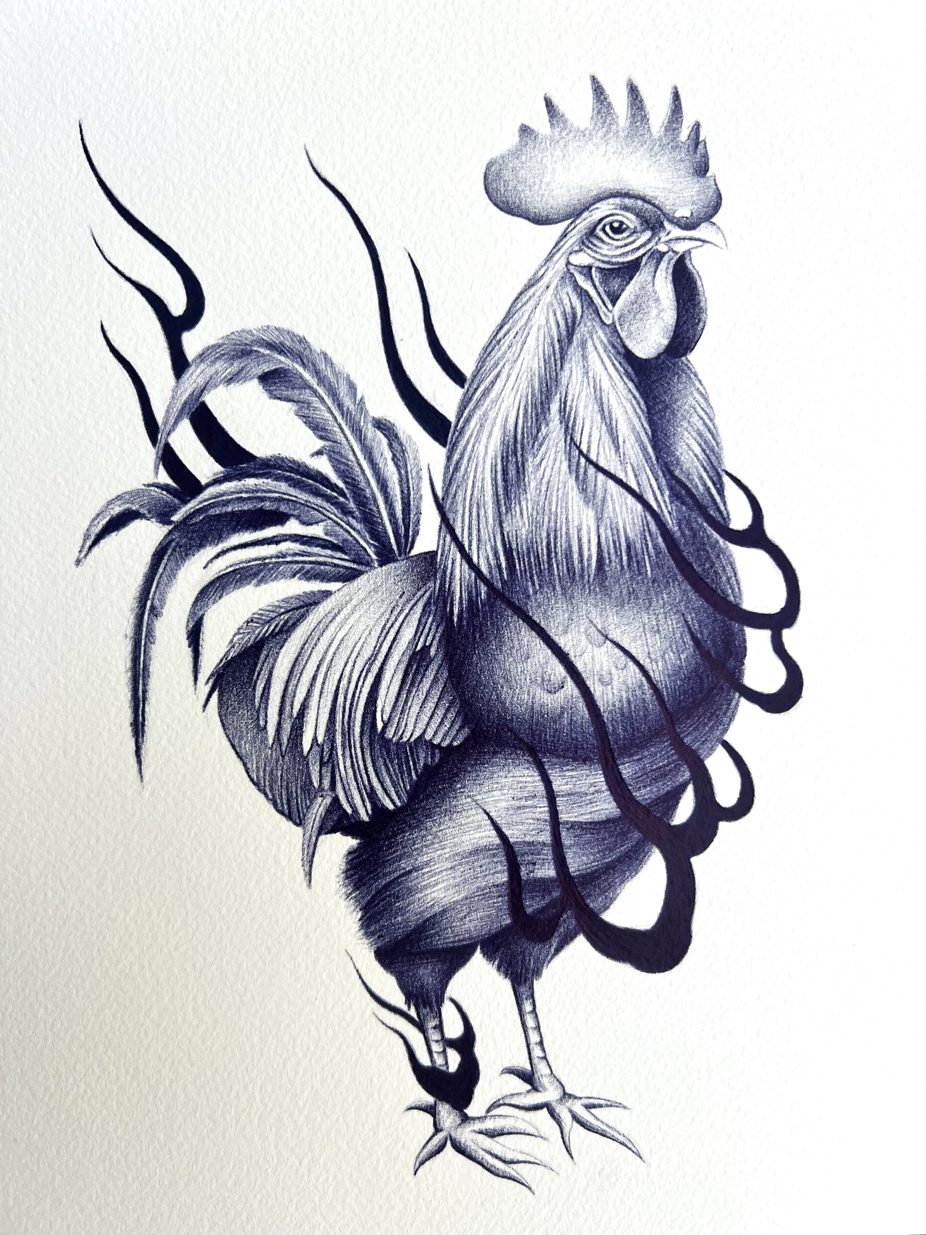 Rooster