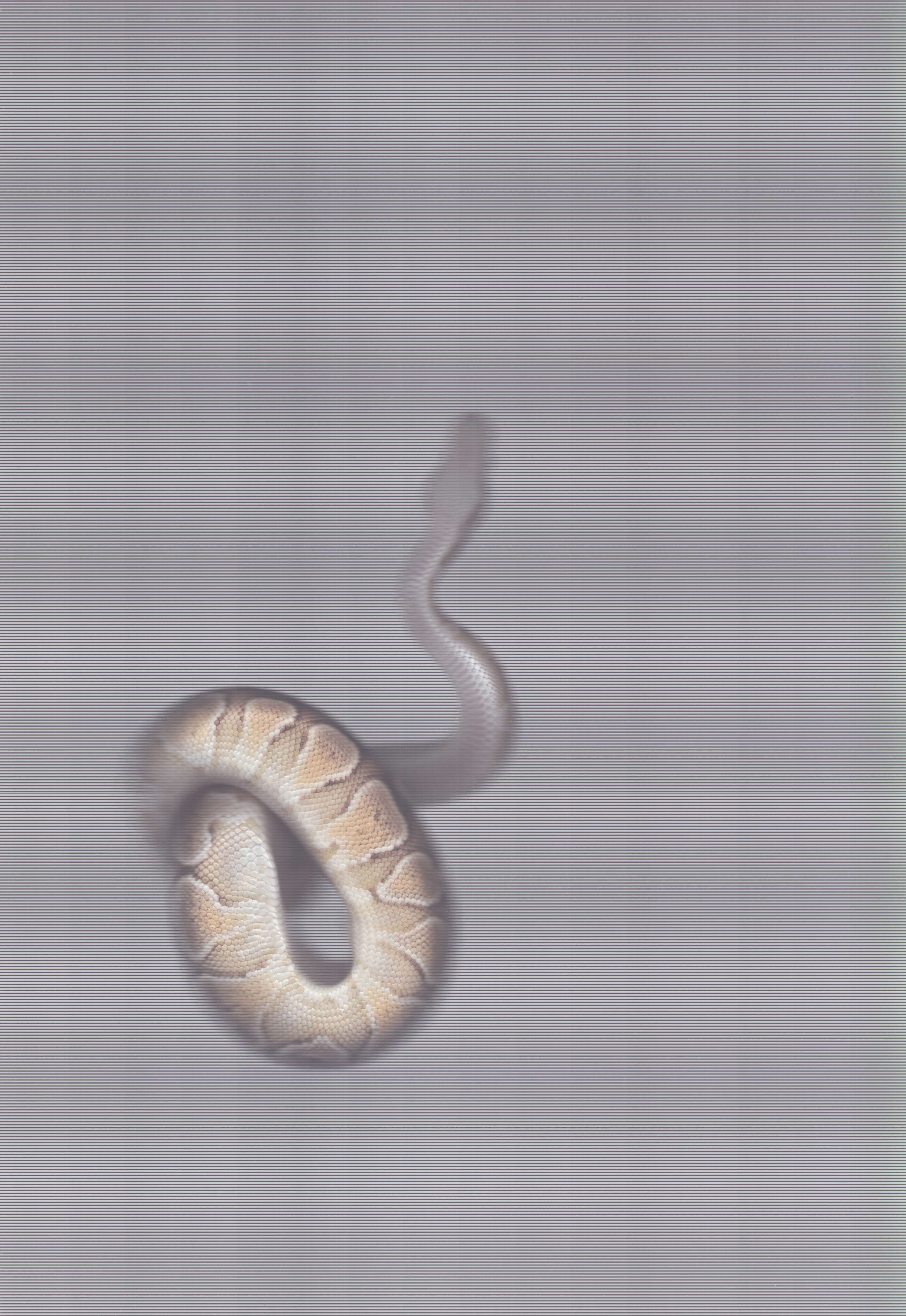 Snakeprint