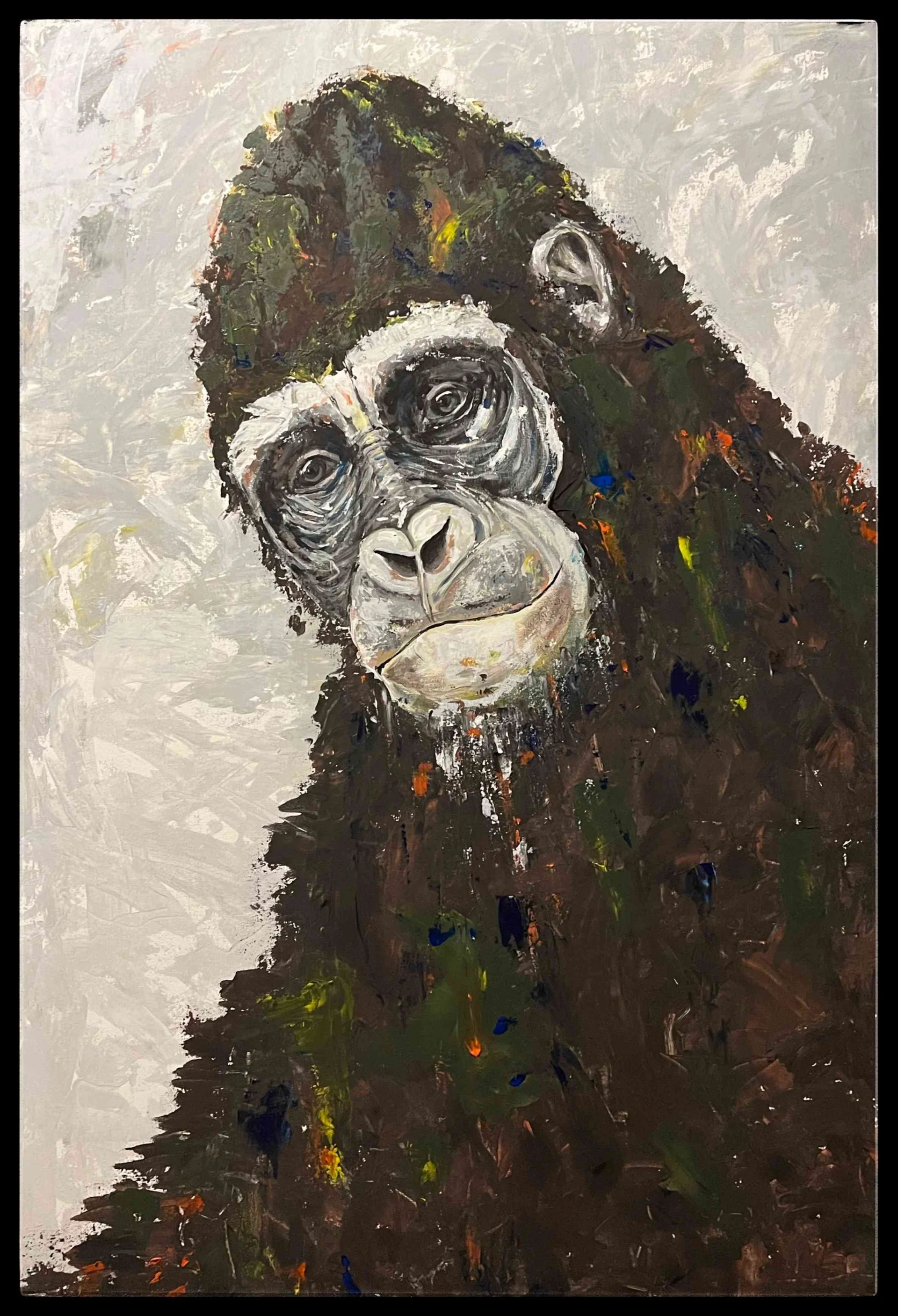 Gorilla's Contemplations 