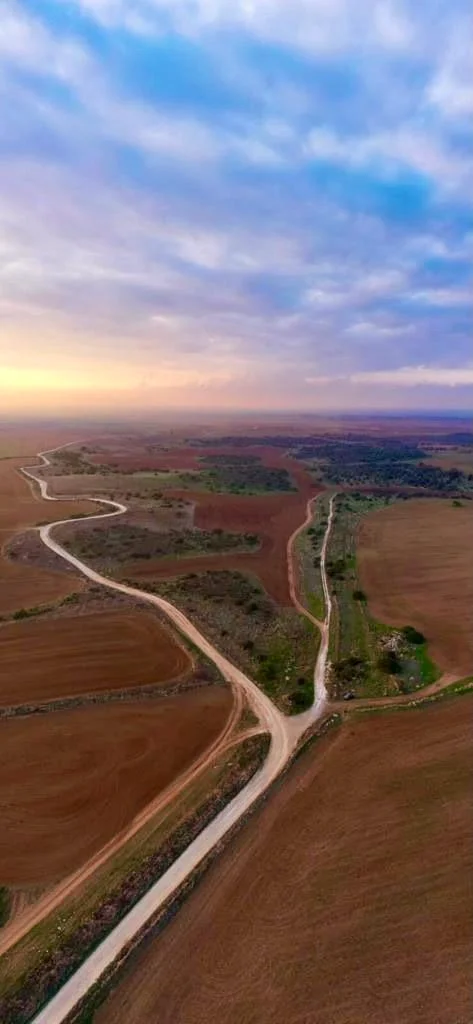 פרשת דרכים
