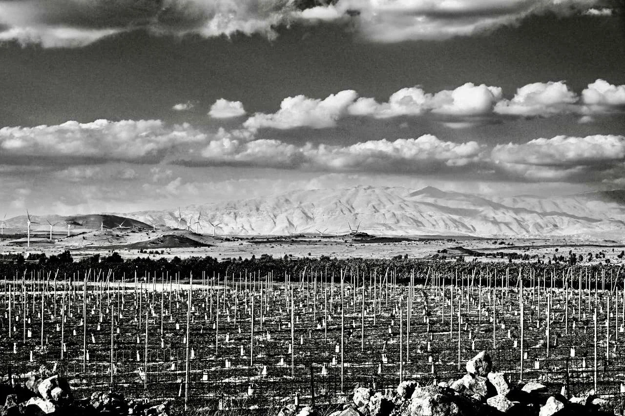 Mount Hermon on summer