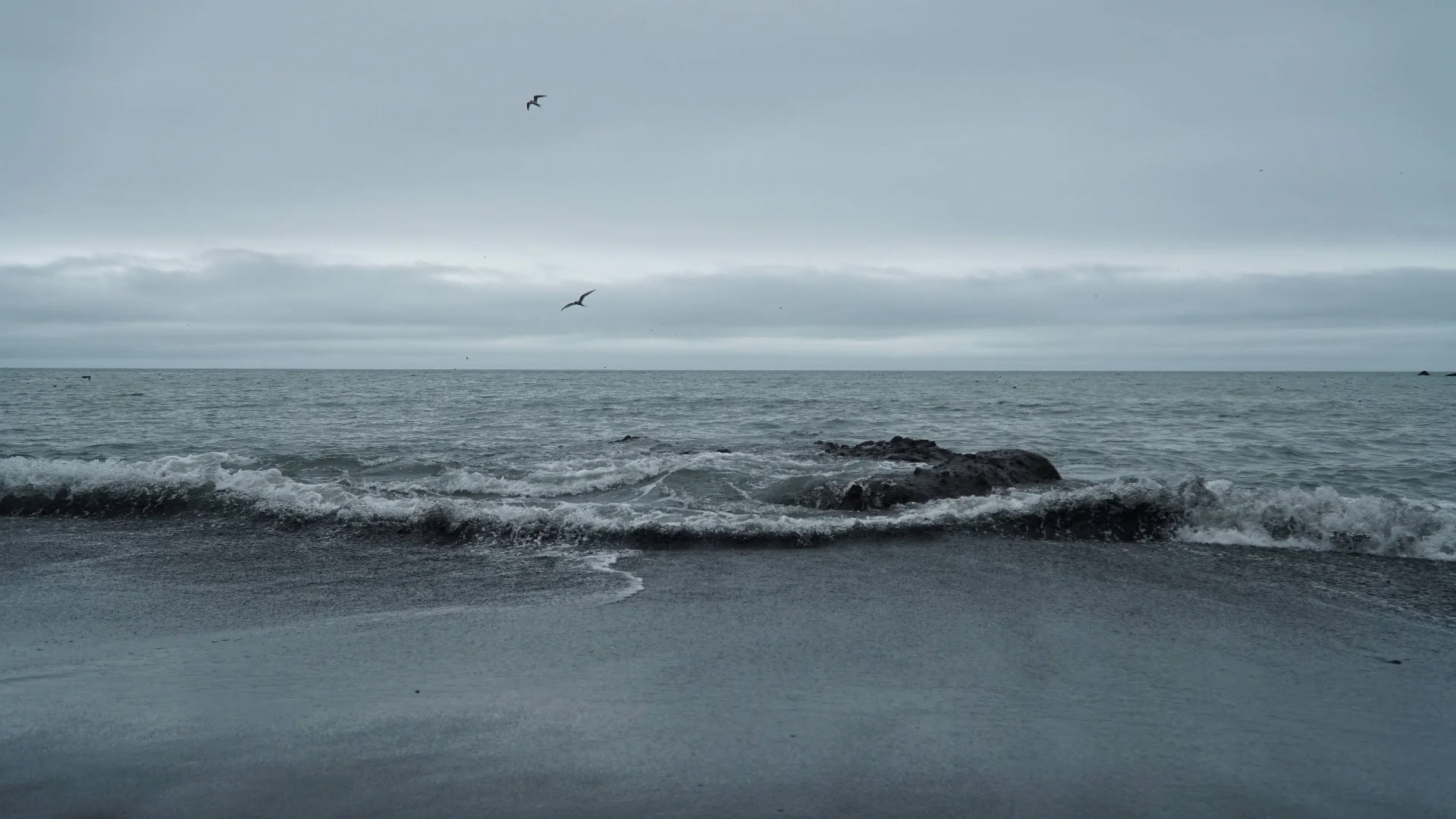 Sea of Mist