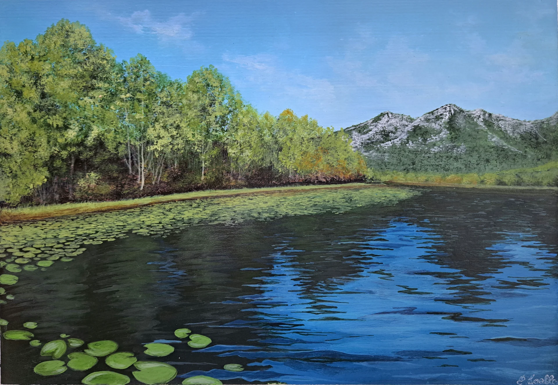Tranquil Reflections