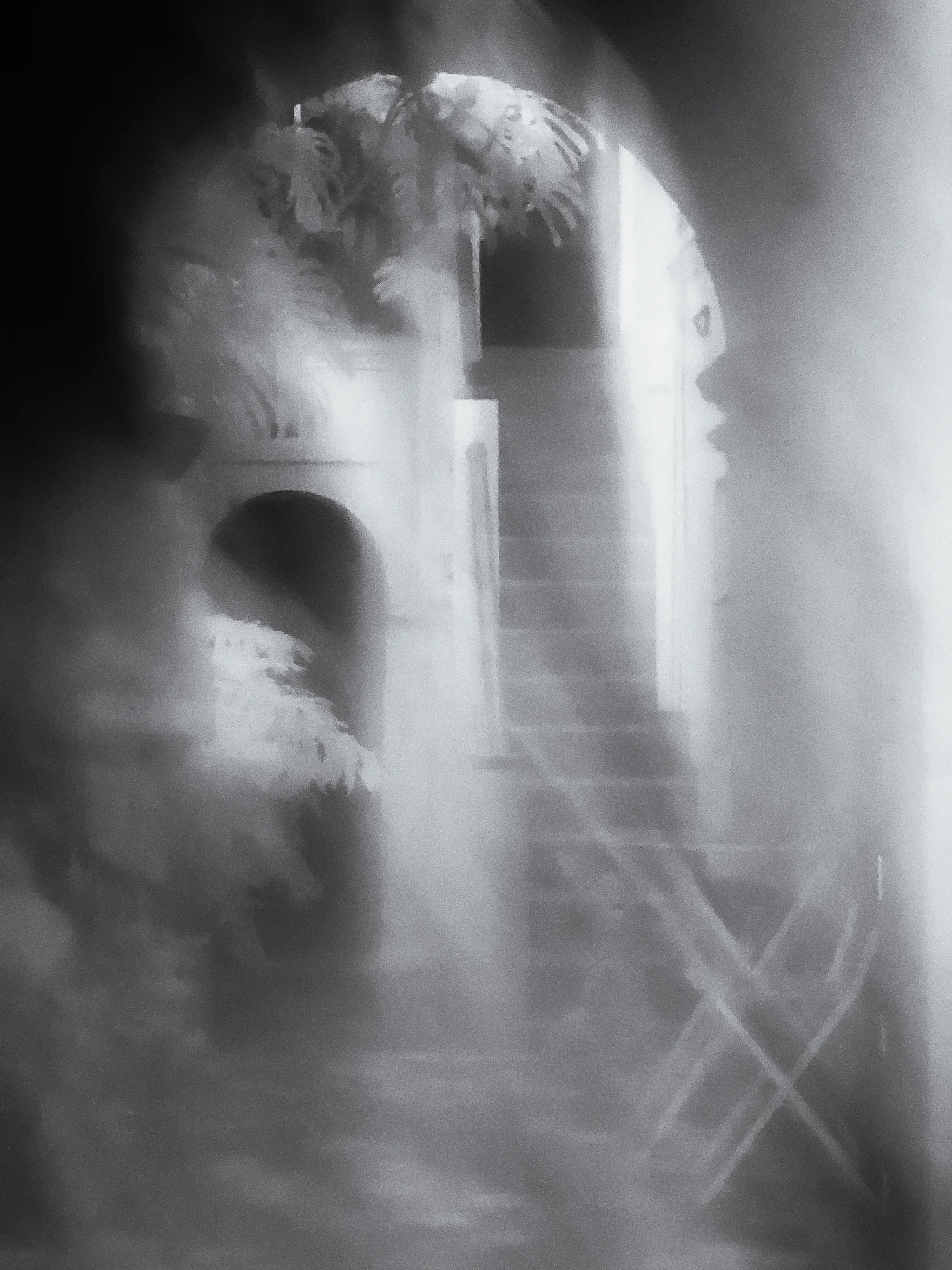 Echo of Time