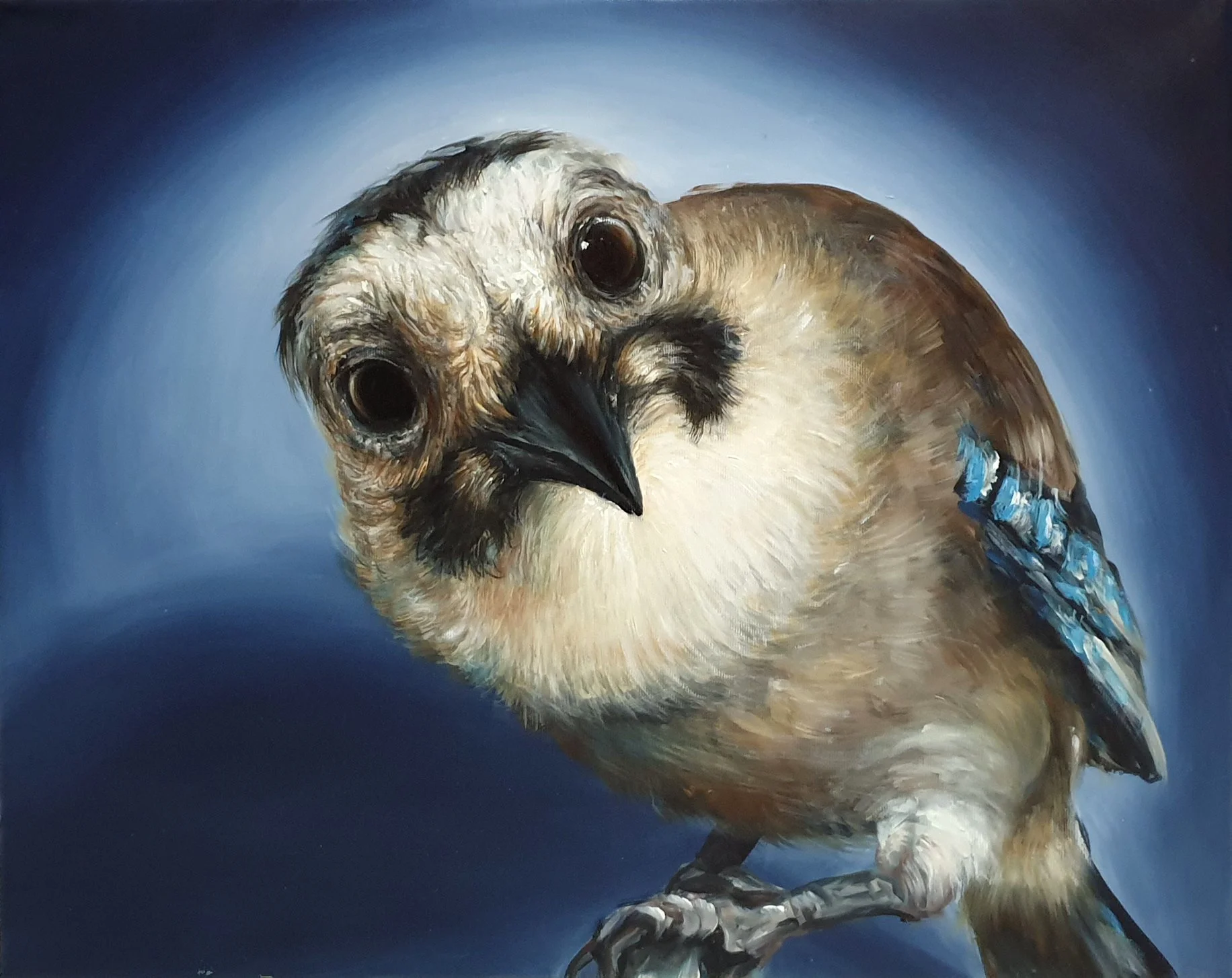 Curious Blue Jay – Expressive Bird Portrait