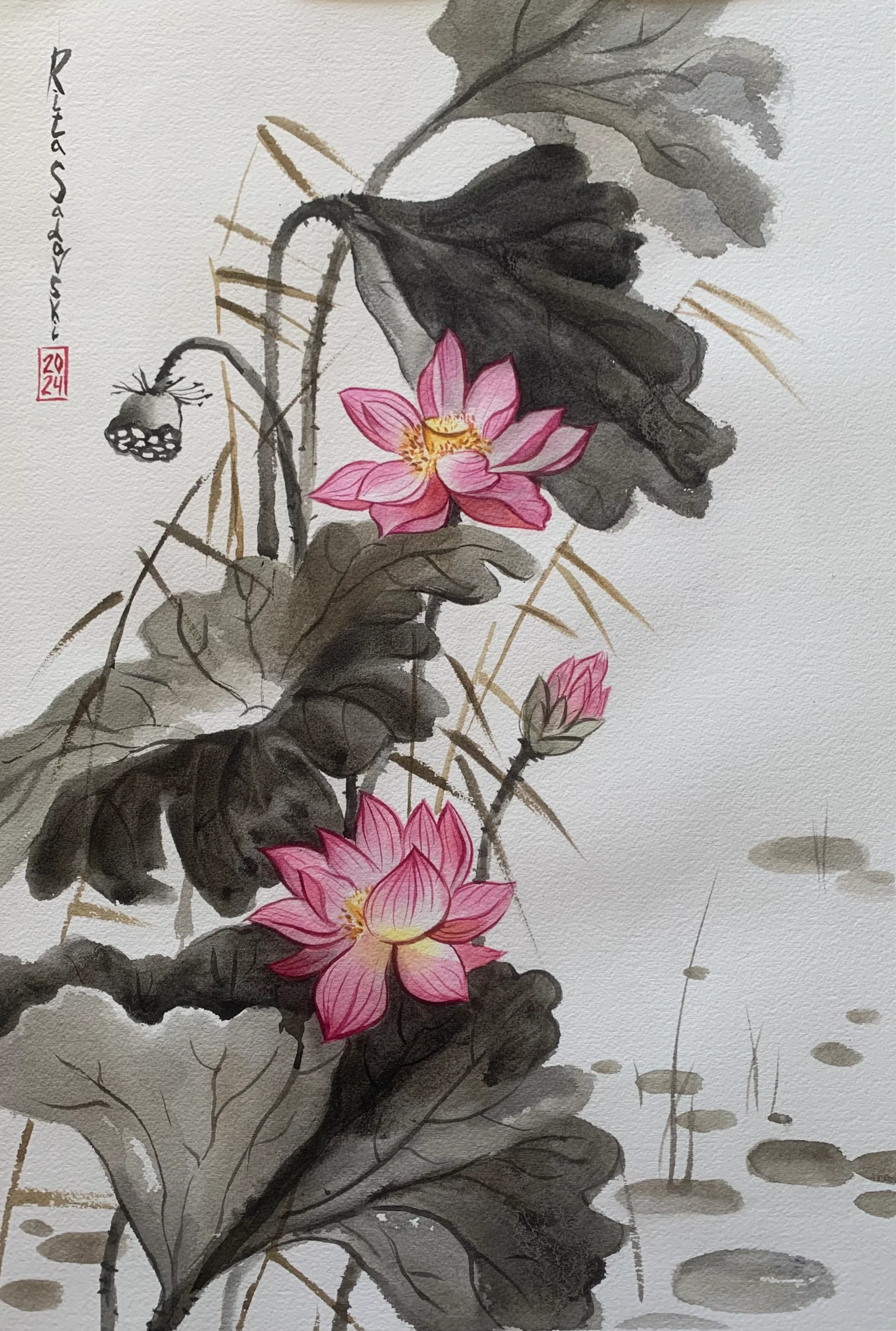 Lotus