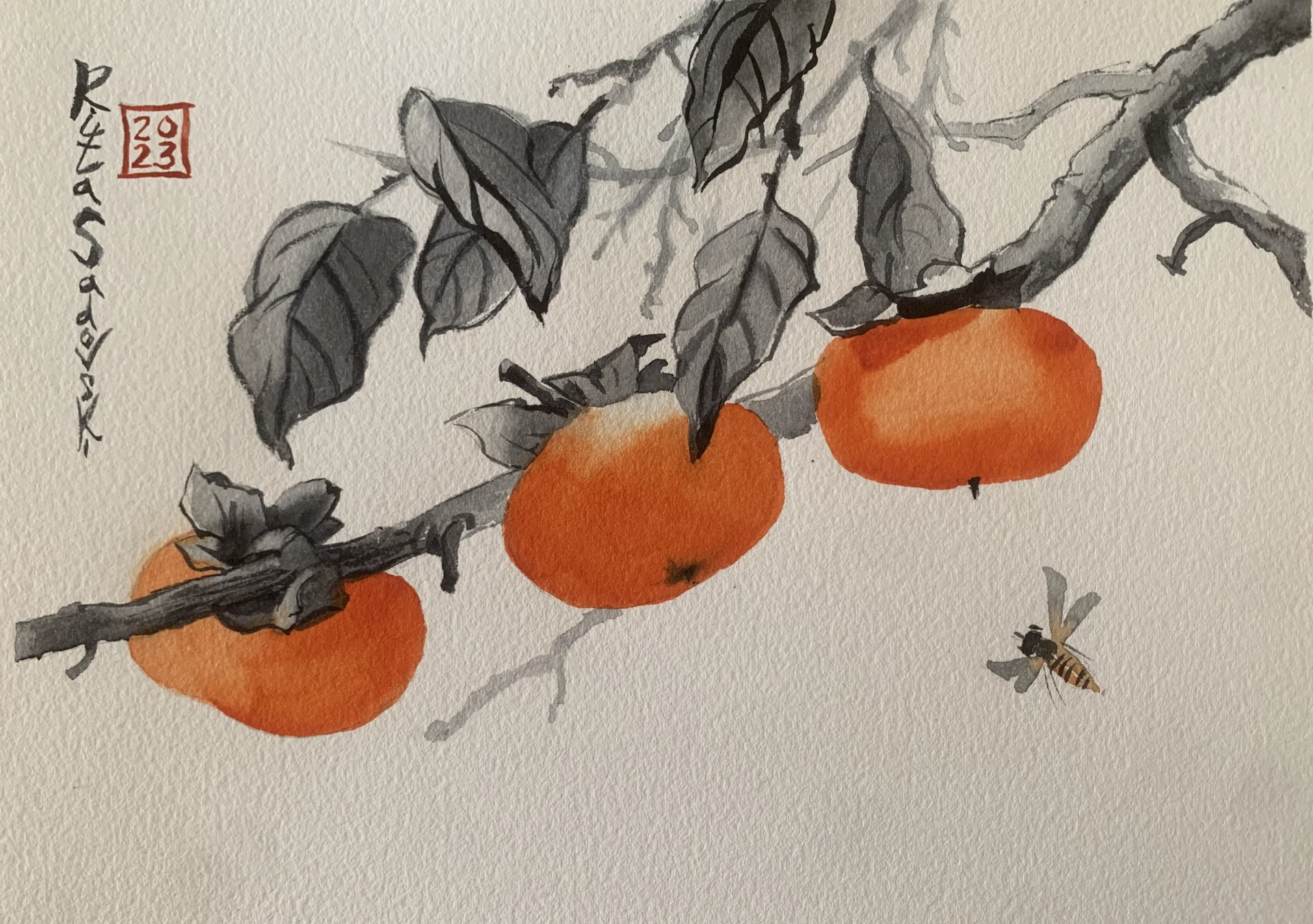 Persimmon 