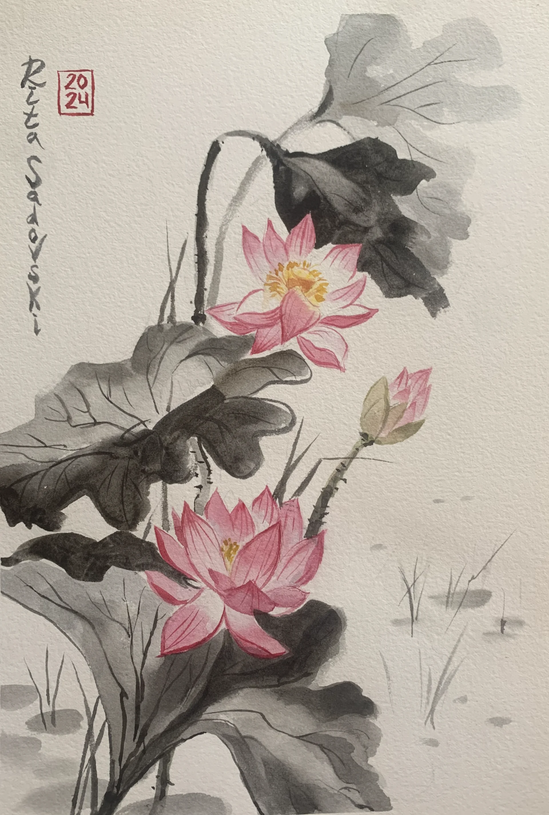 Delicate lotus