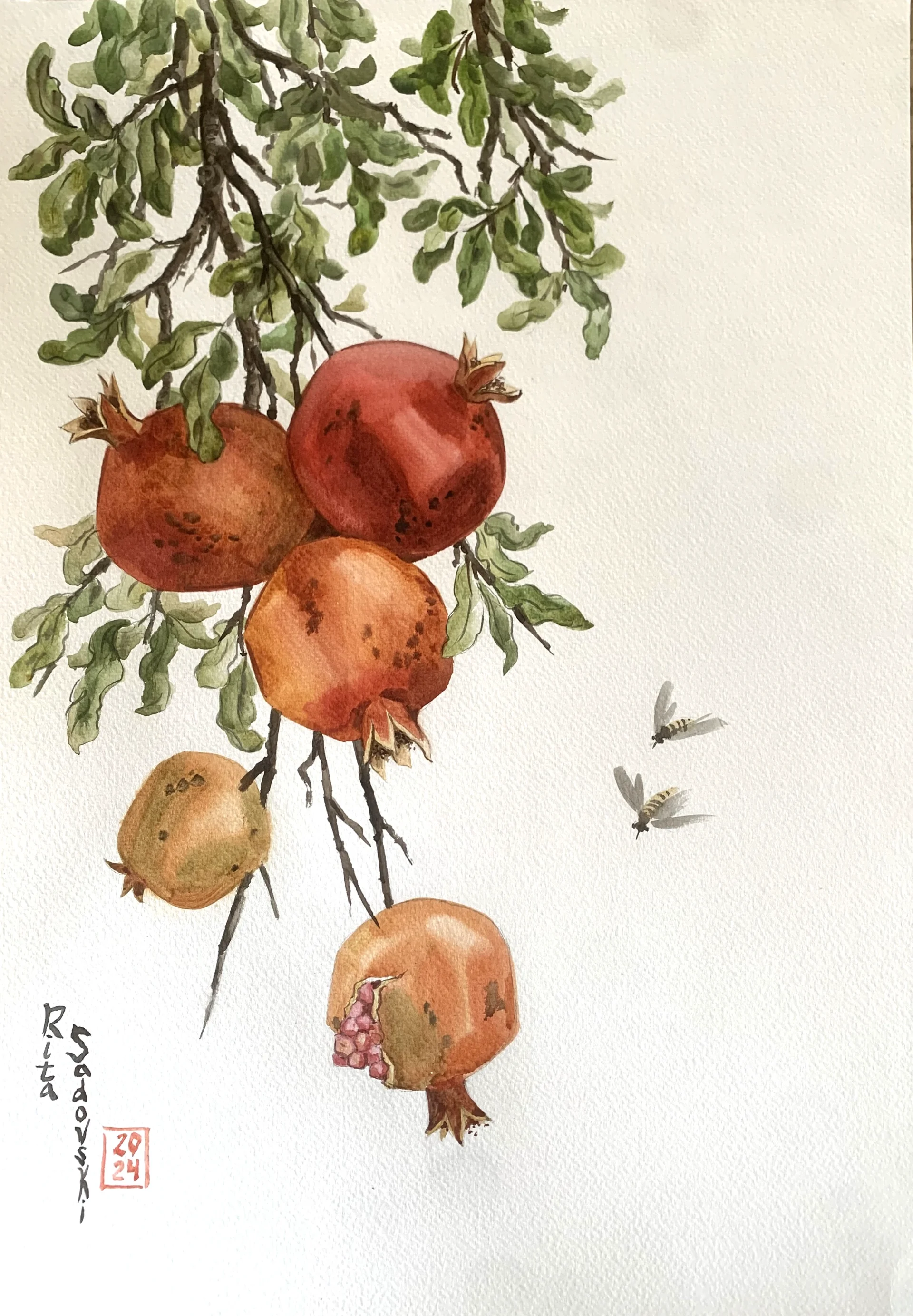 Pomegranates