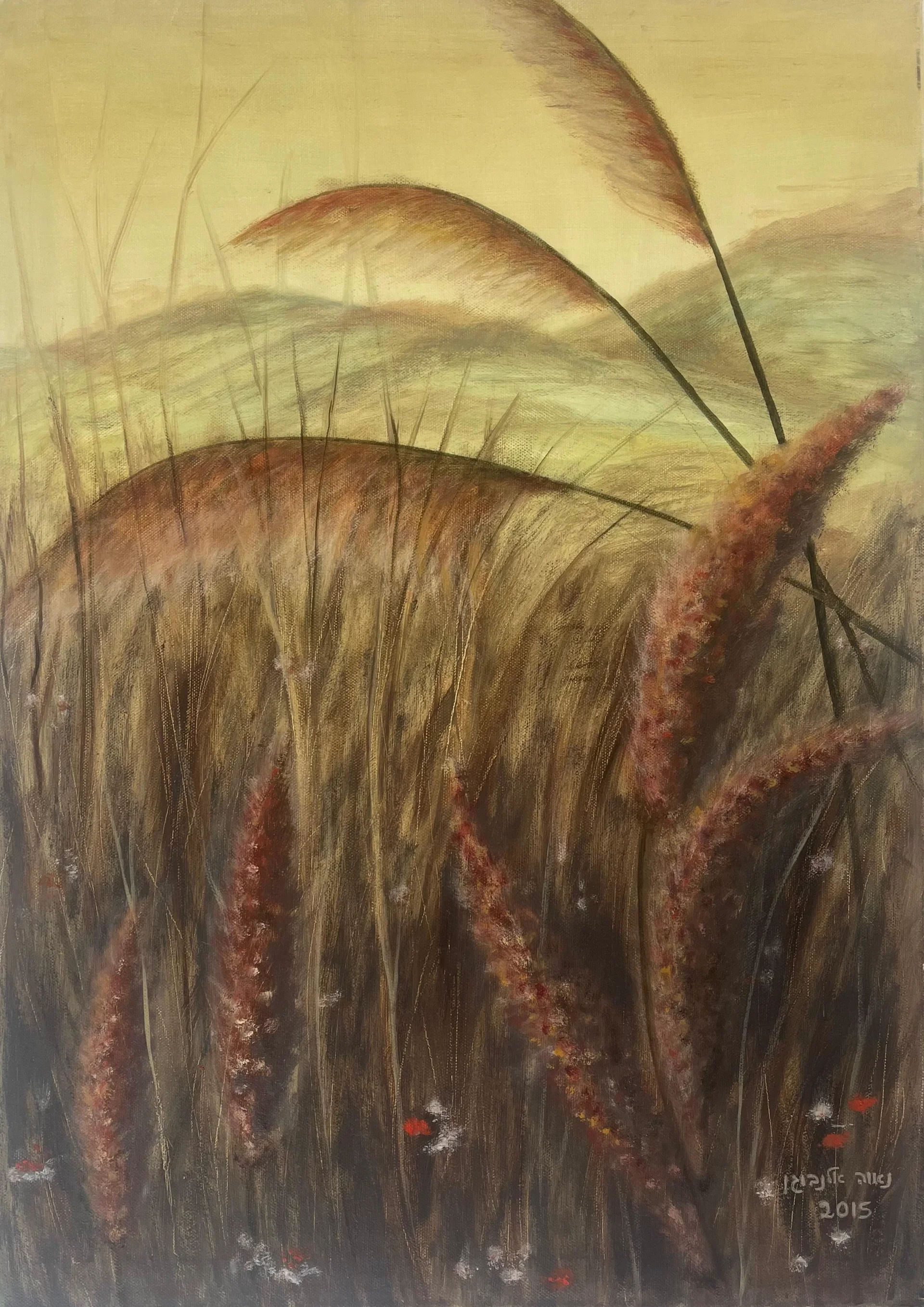 Summer field 1