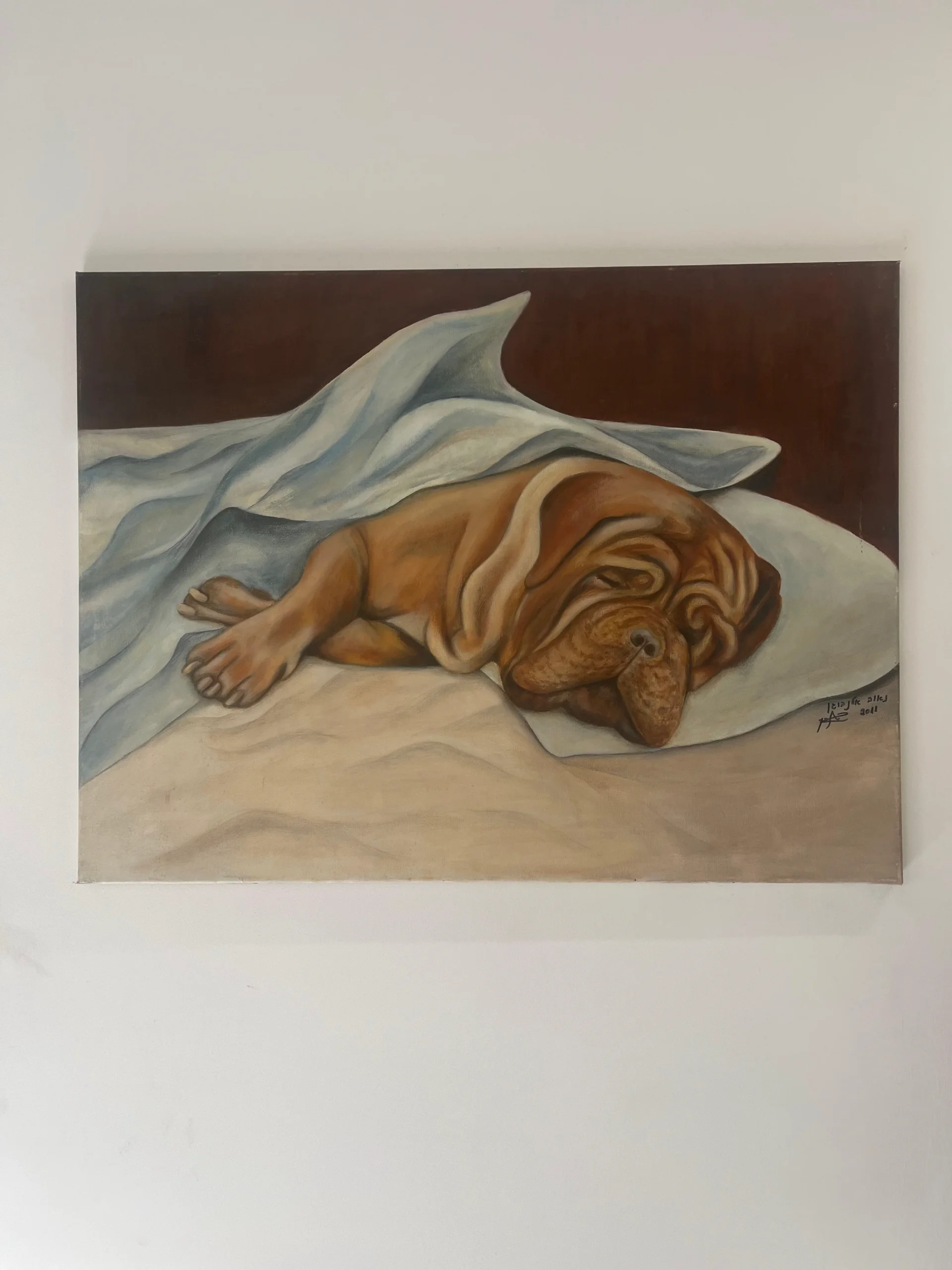 Sleeping dog