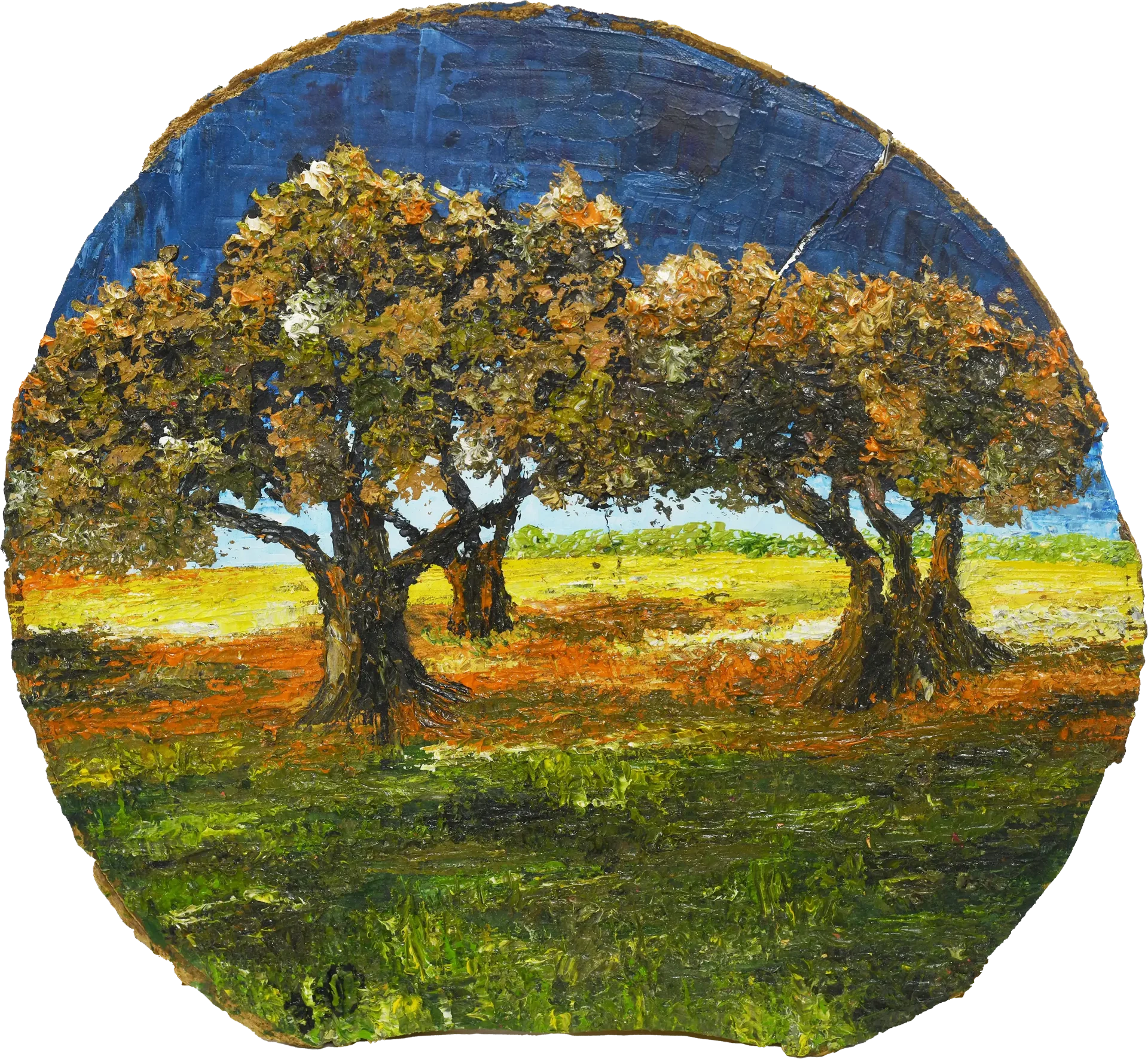 ערב בקיבוץ