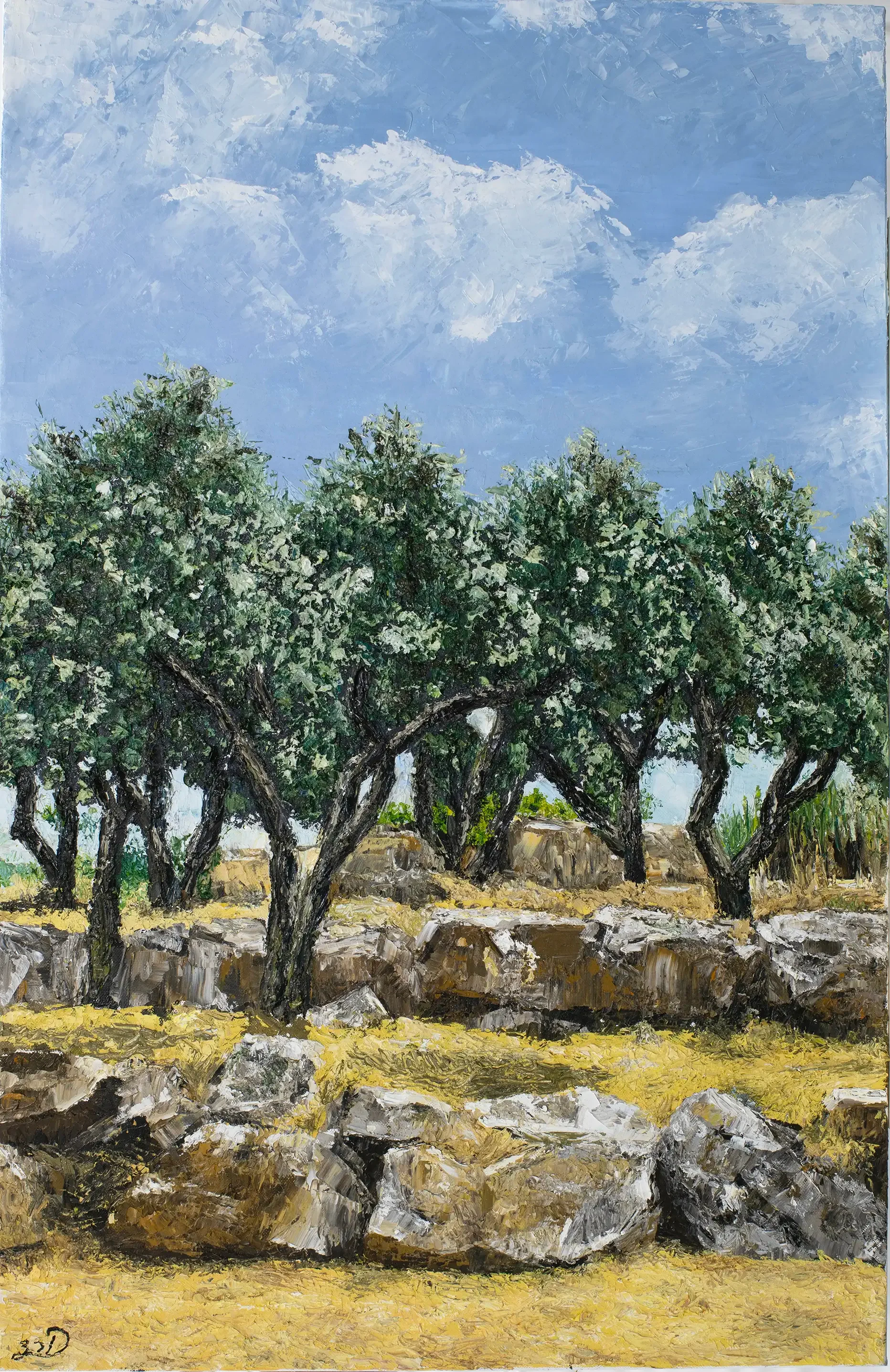 Olive trees in Kibbutz Kabri