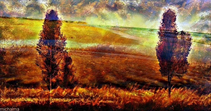 Two trees in the landscape