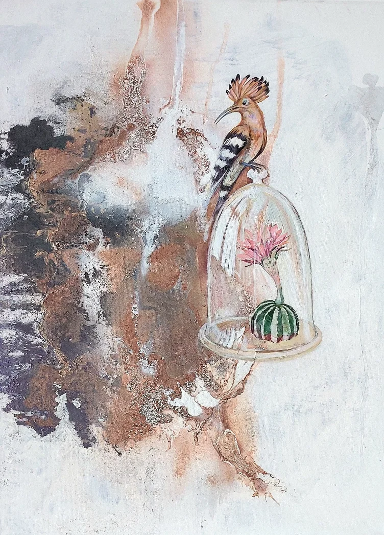 HOoPoE