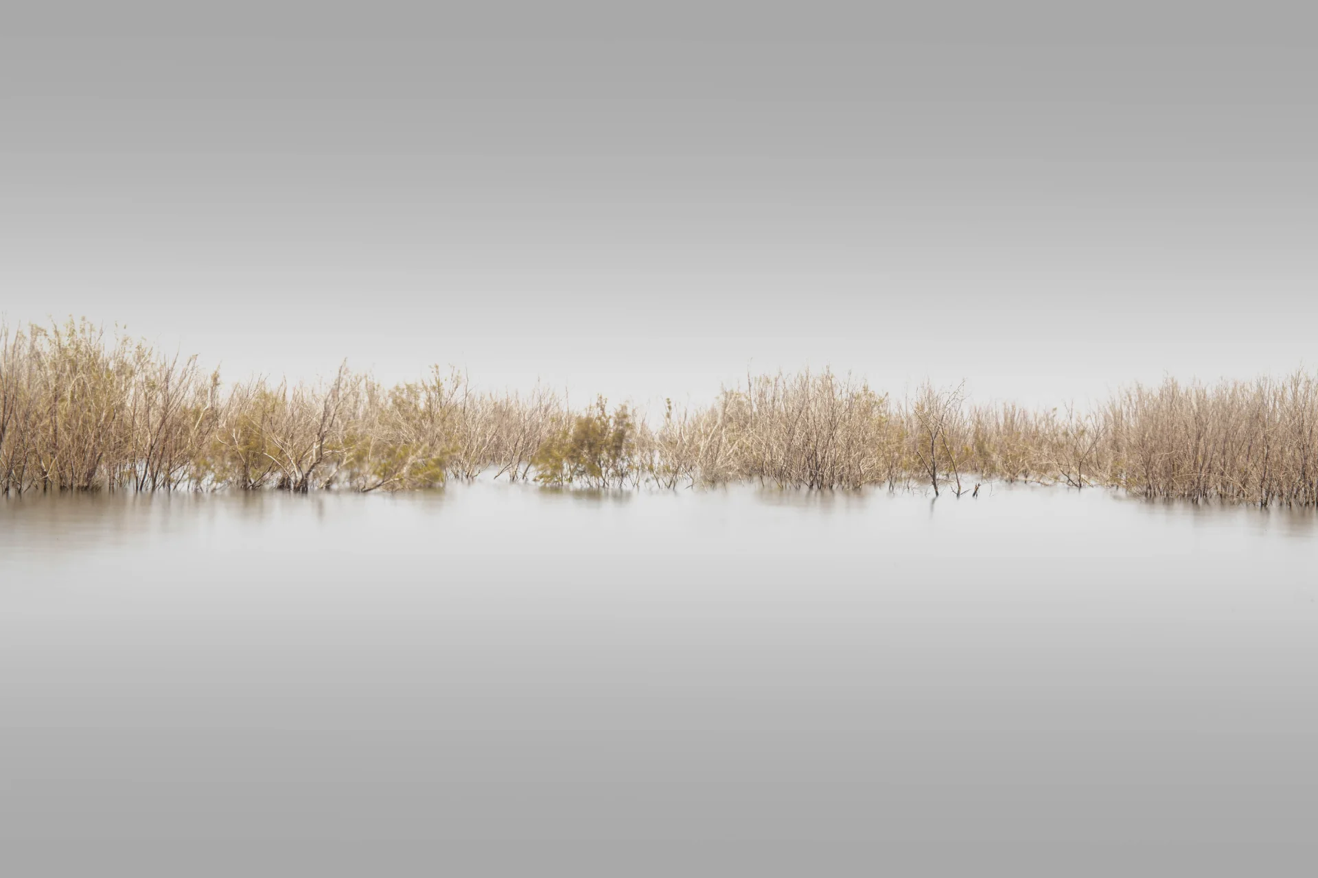 Sea of Galilee