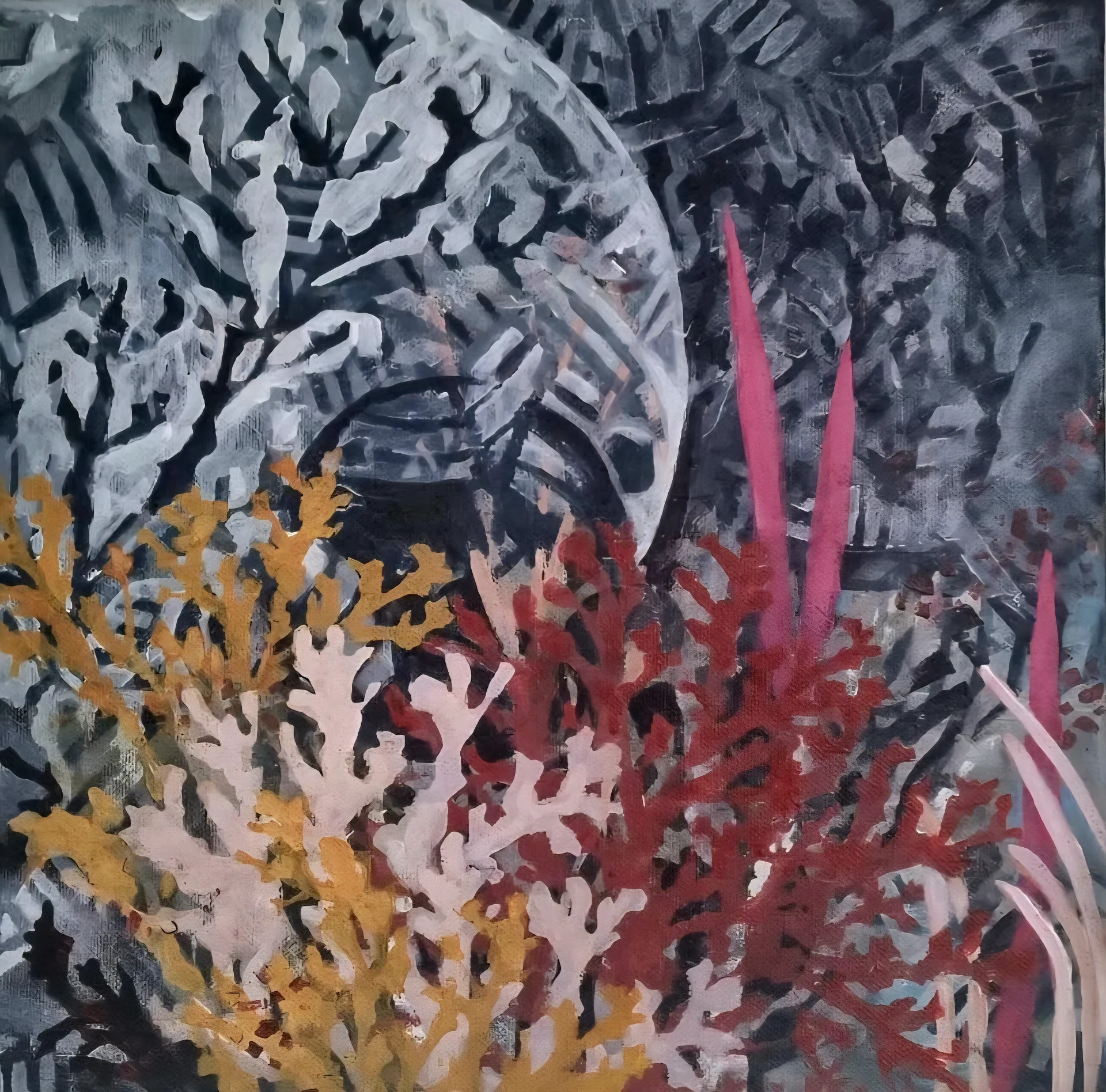 Corals - I	