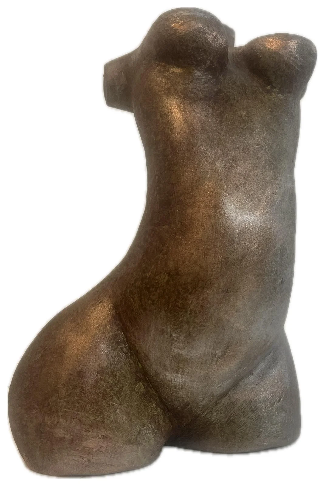 torso 2