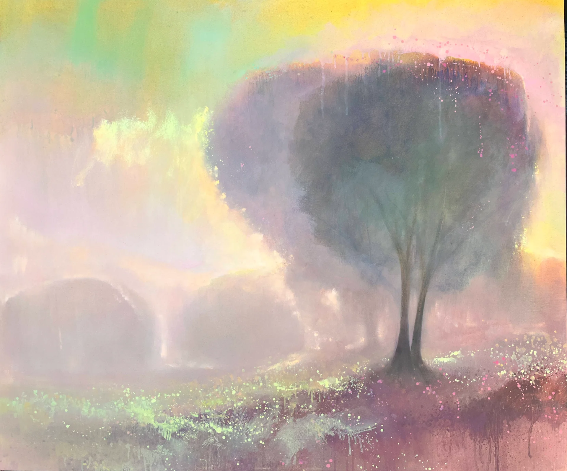 PRESENCE OF LIGHT 01