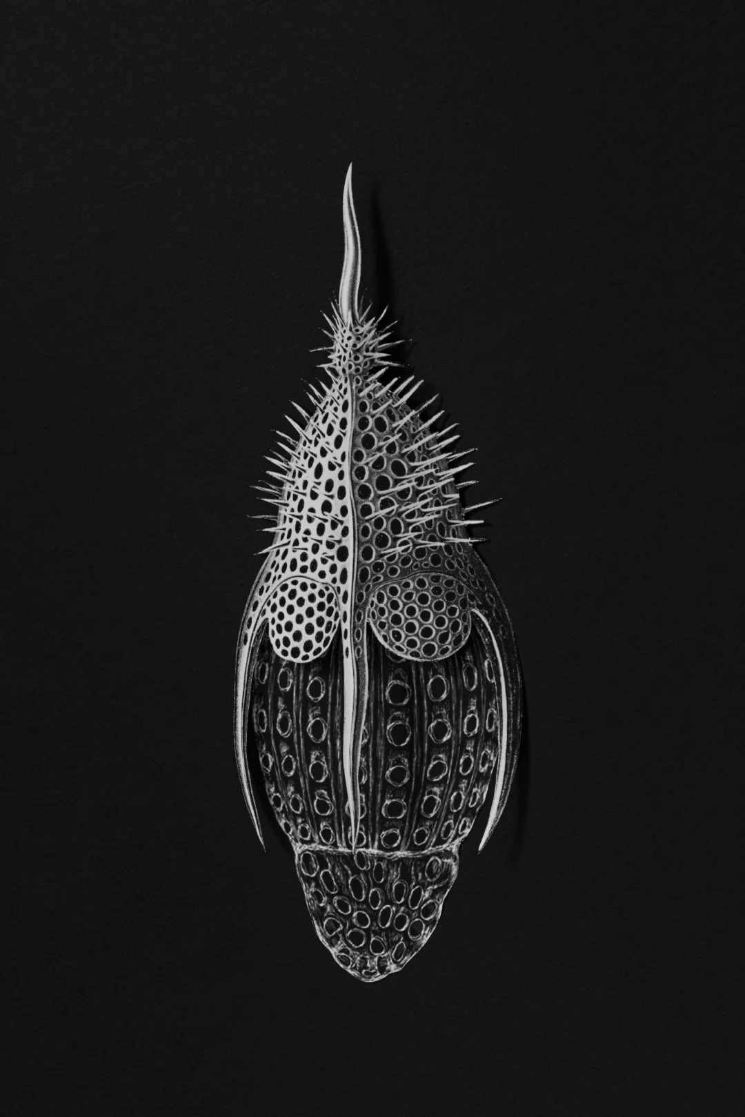 אלכימיה של נייר