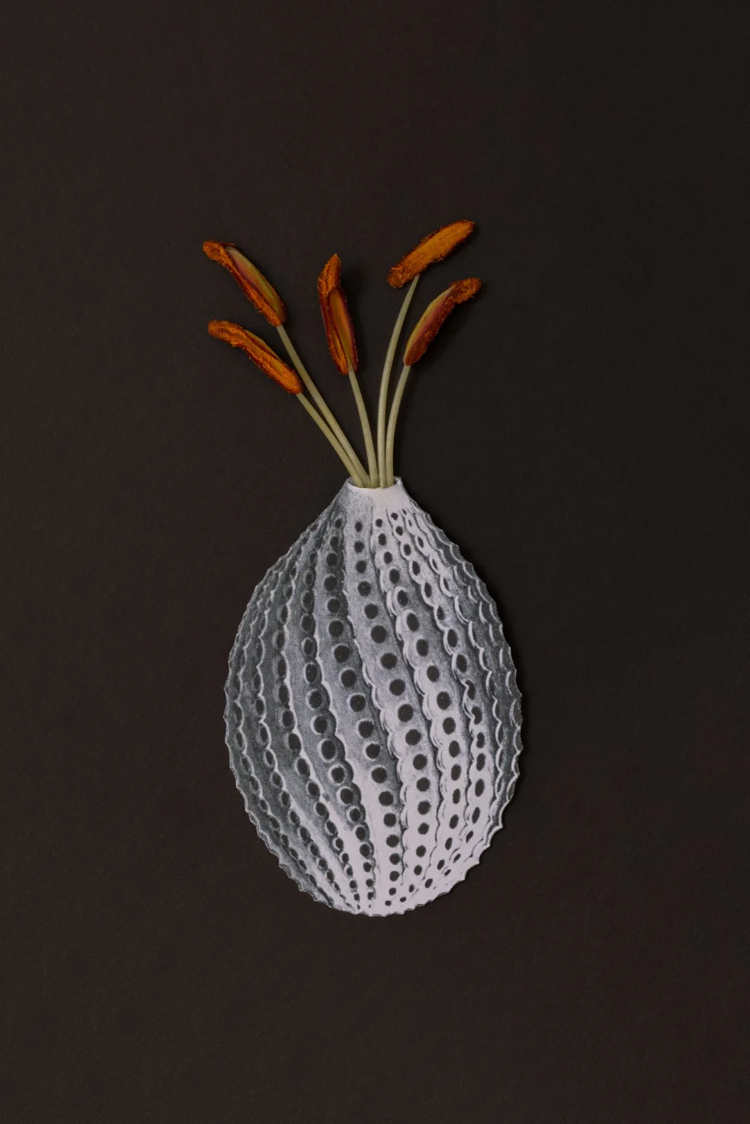 אלכימיה של נייר