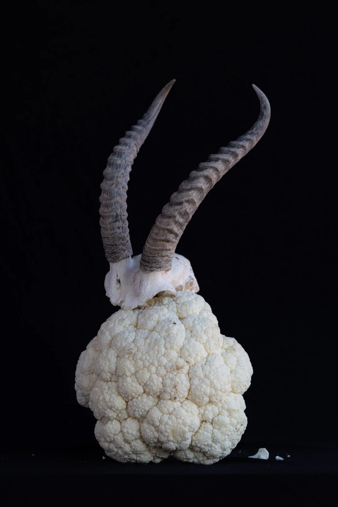 I Didn't Try to Understand