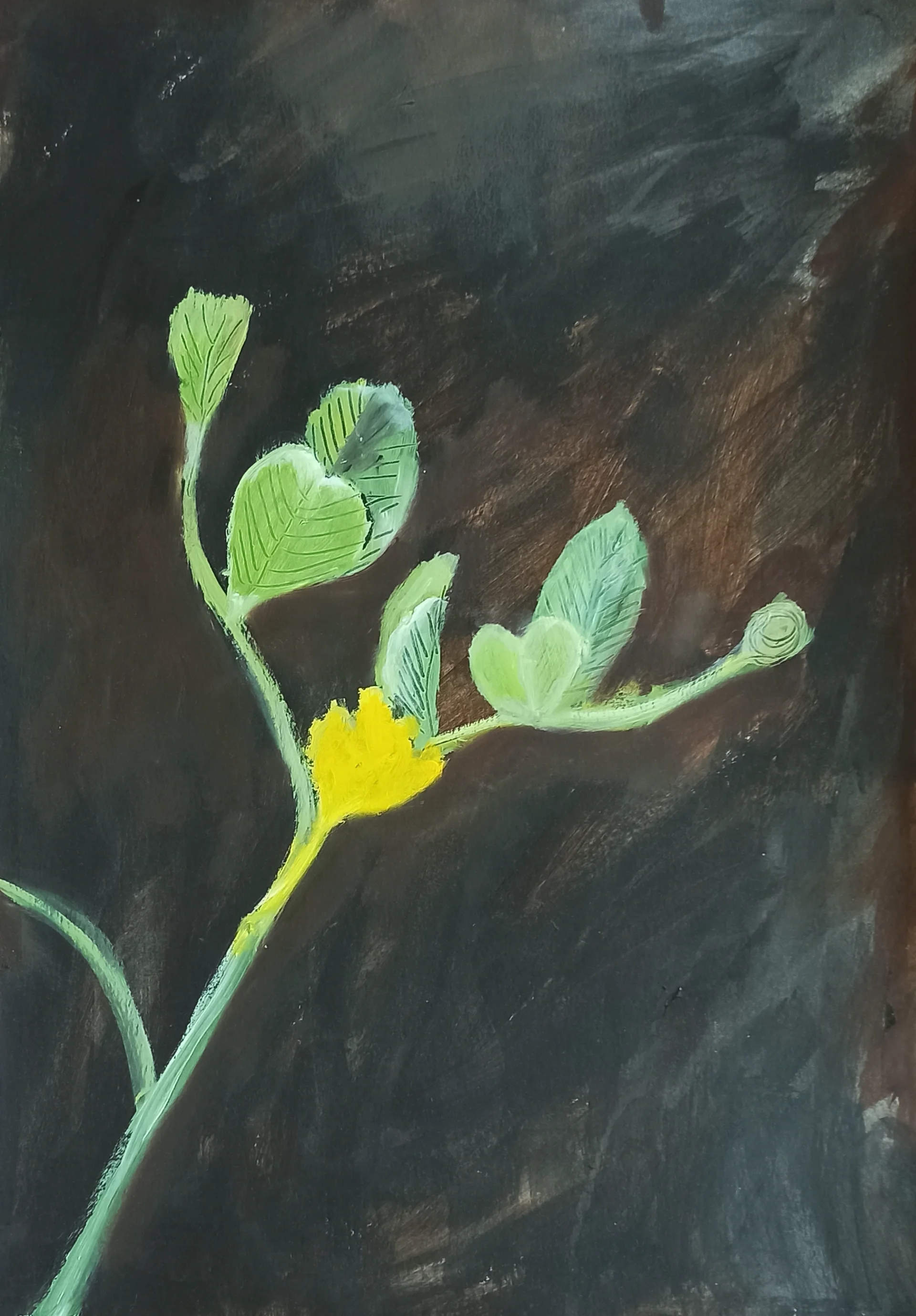 Wildflowers - Common Asparagus