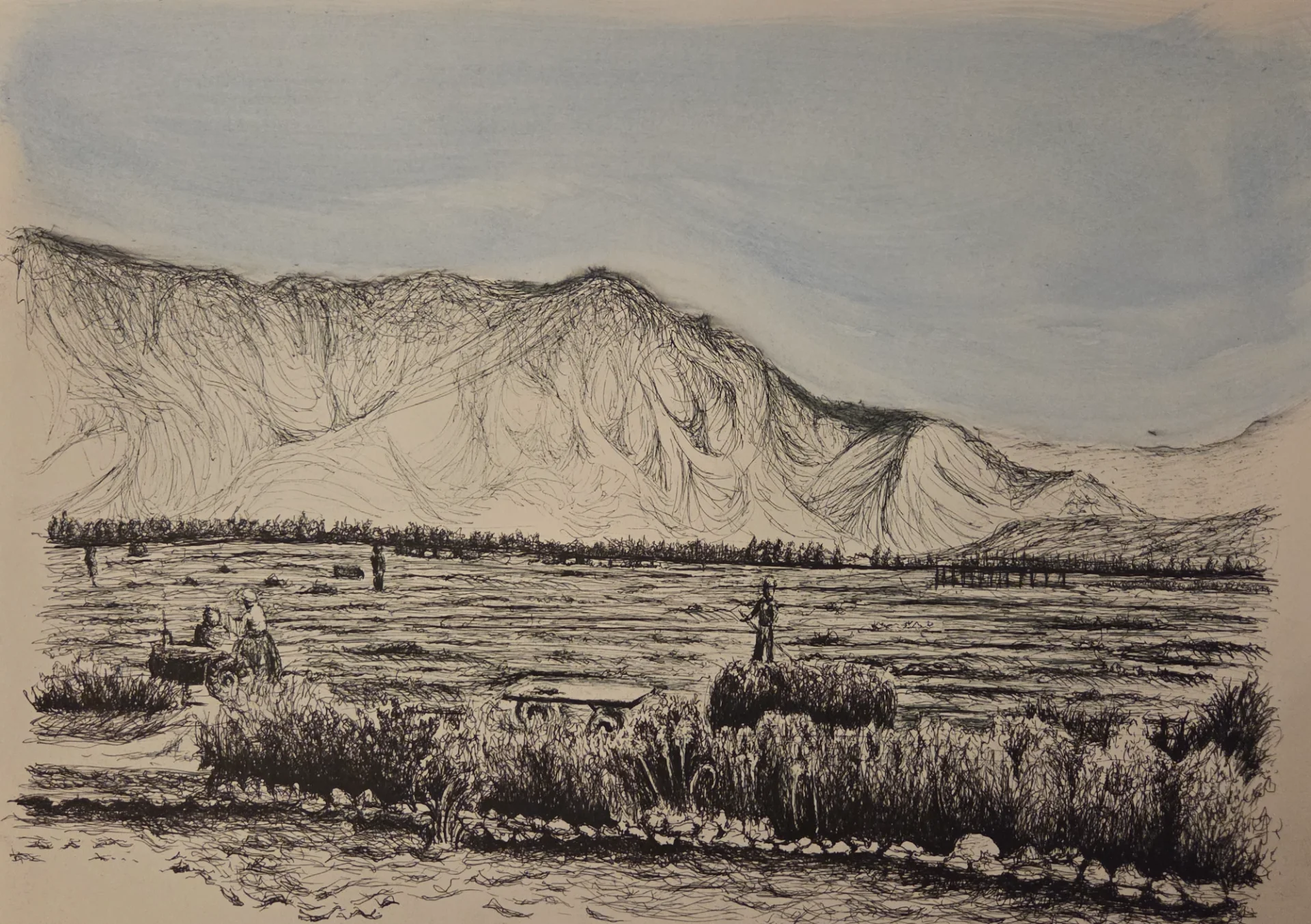 שדות הפלחה והאספספת על גדות הירמוך, קיבוץ אפיקים, 1950