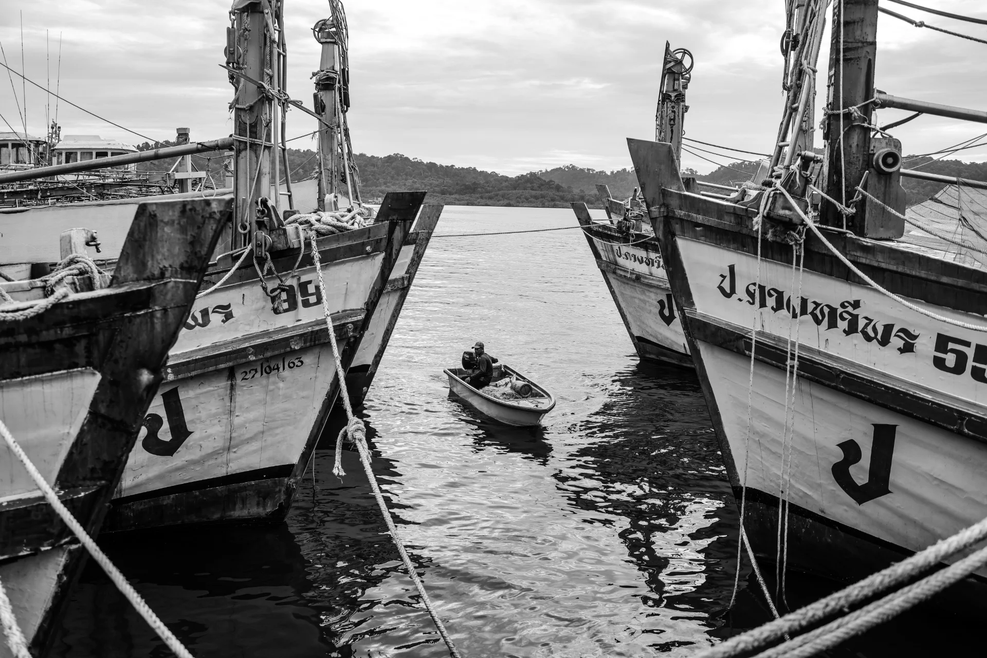 The Magnitude of Determination