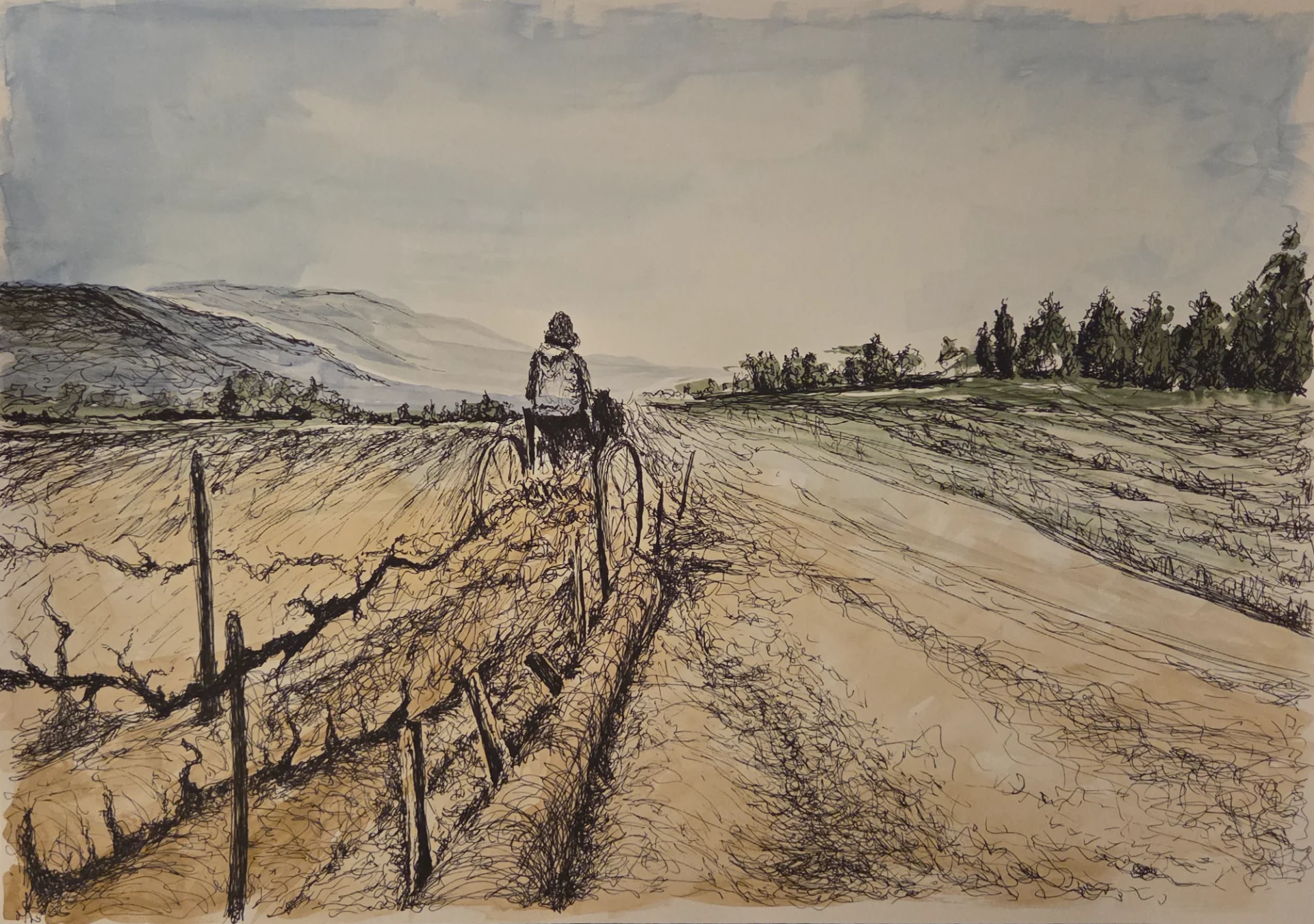 חקלאי בכרם קיבוץ אפיקים ראשית שנות ה-50