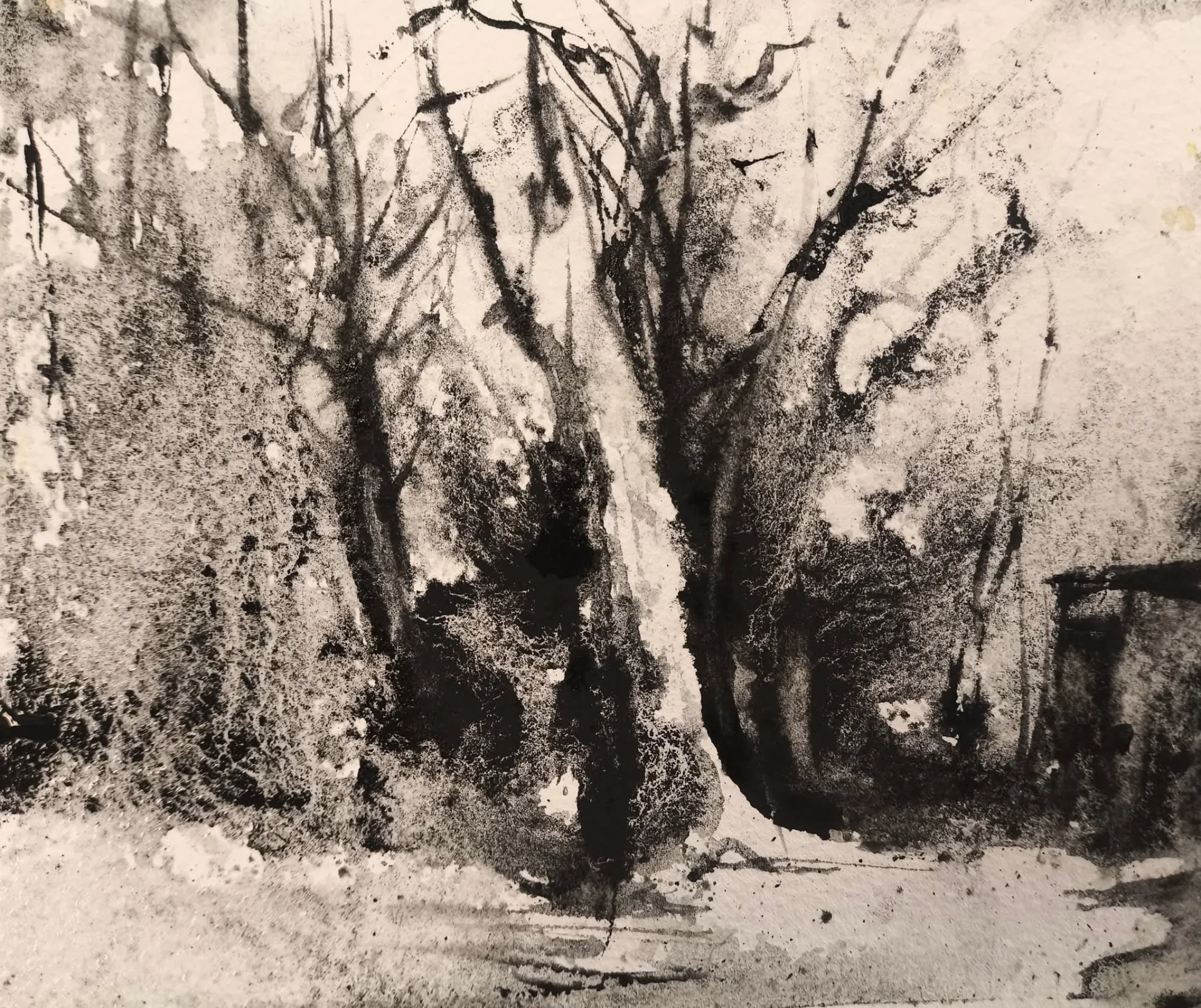 In the heartof the forest