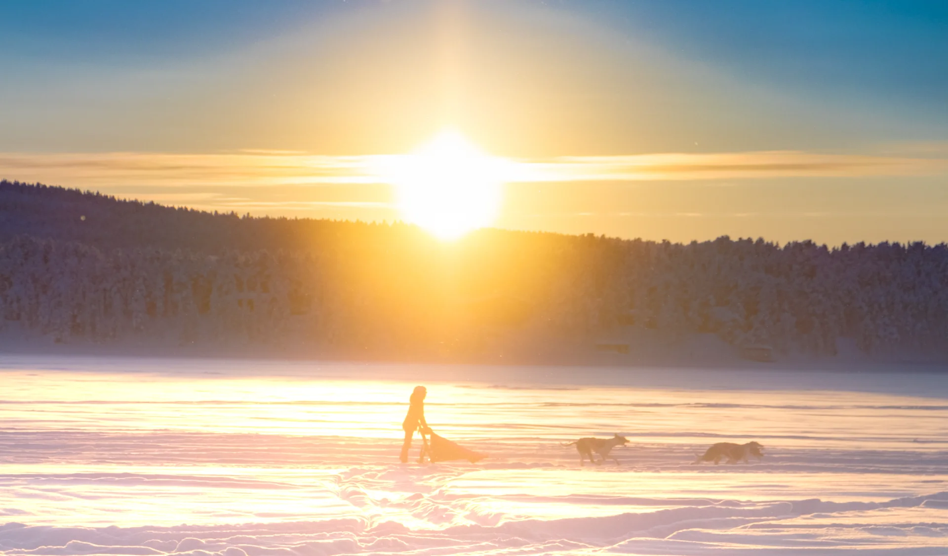 Husky Sled at Sunrise on Frozen Torne