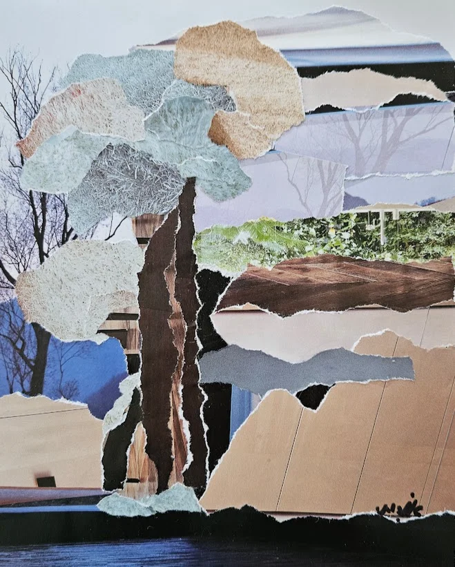 A tree in the yard of the house