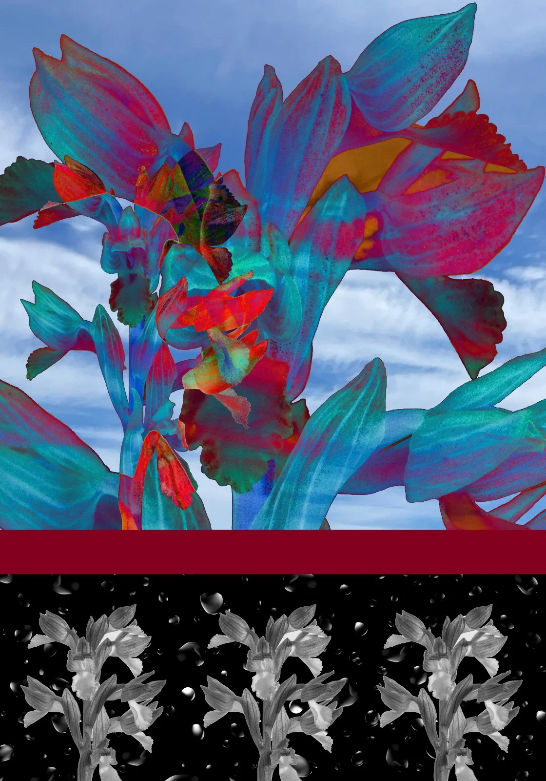 זיכרון צבעוני