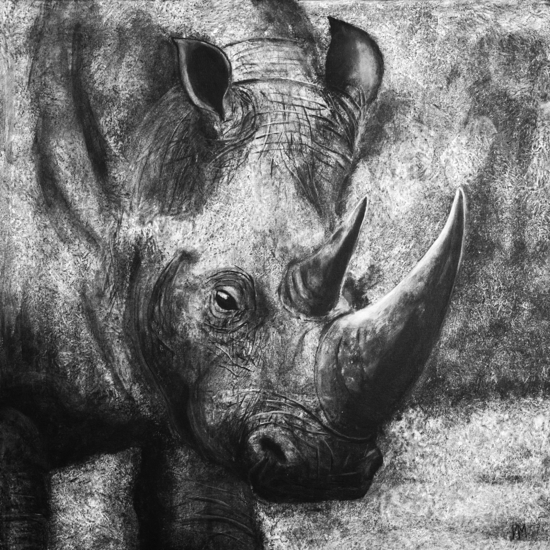The Last Rhinoceros