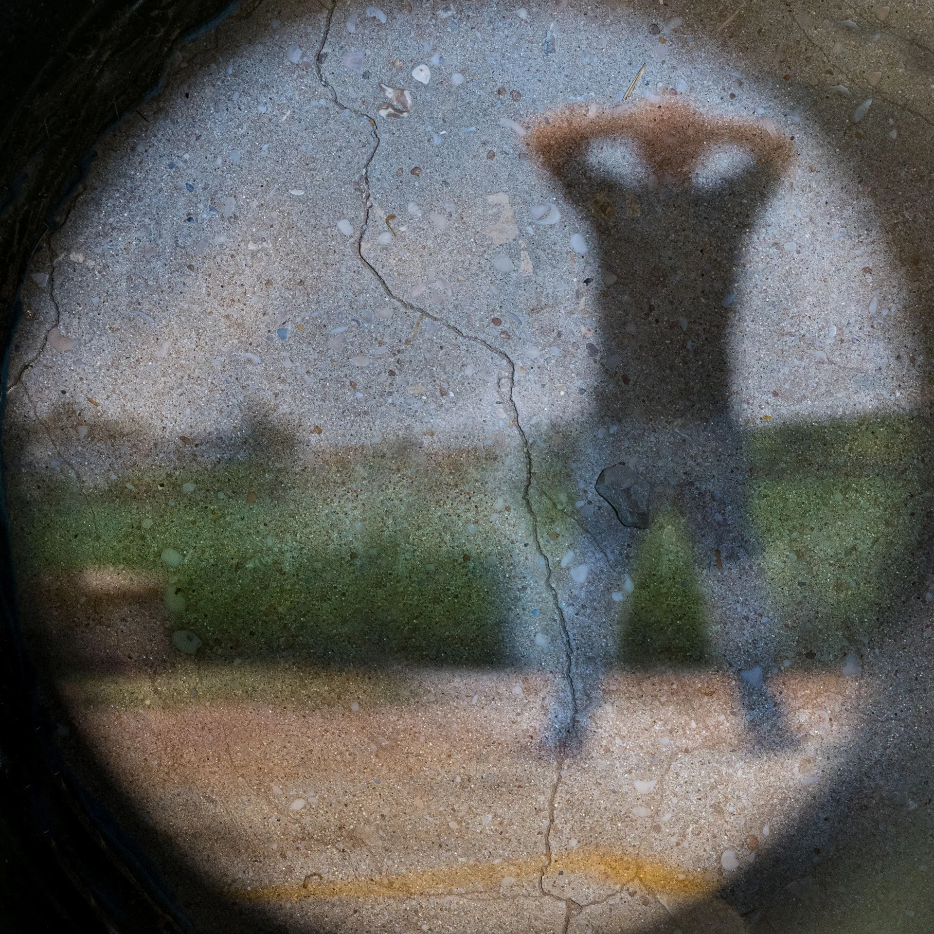 מבט אל העתיד