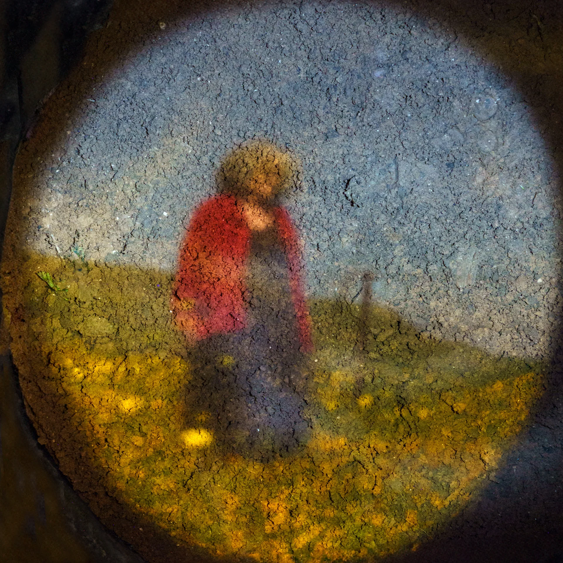 אישה בשדה פרחים