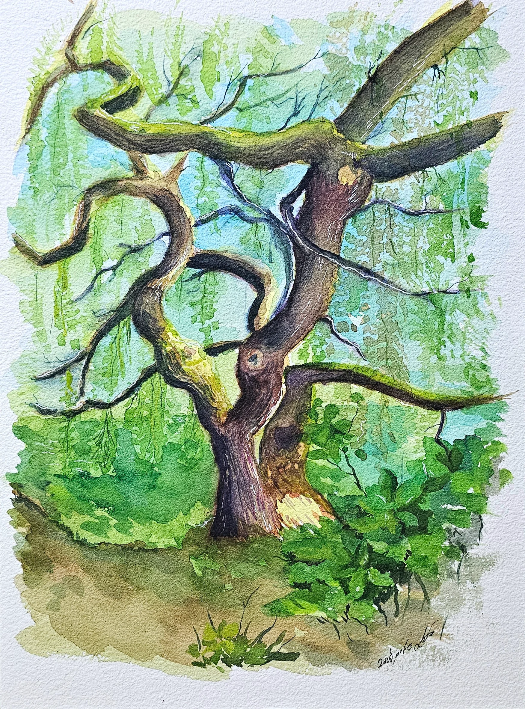 The Enchanted Forest