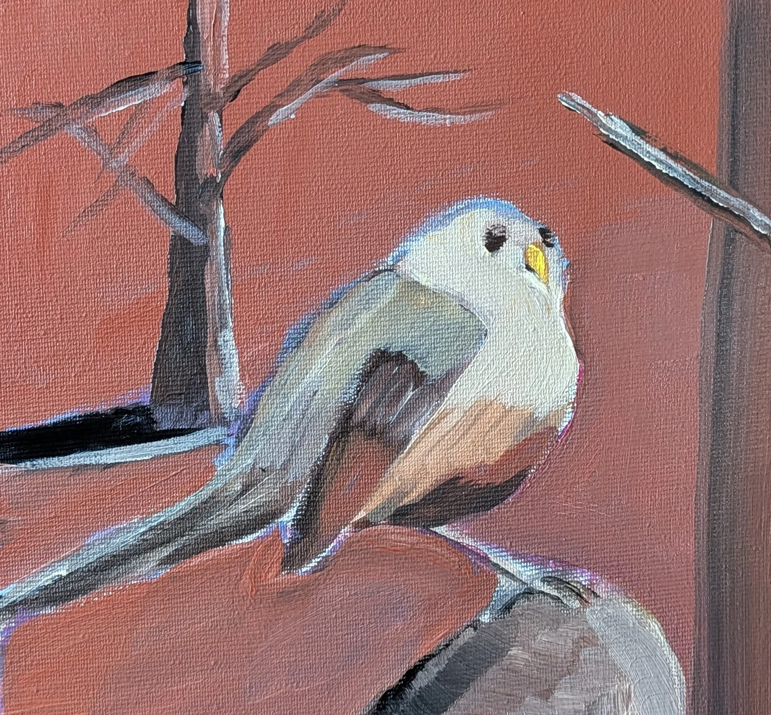 Sparrow Resting on Stone