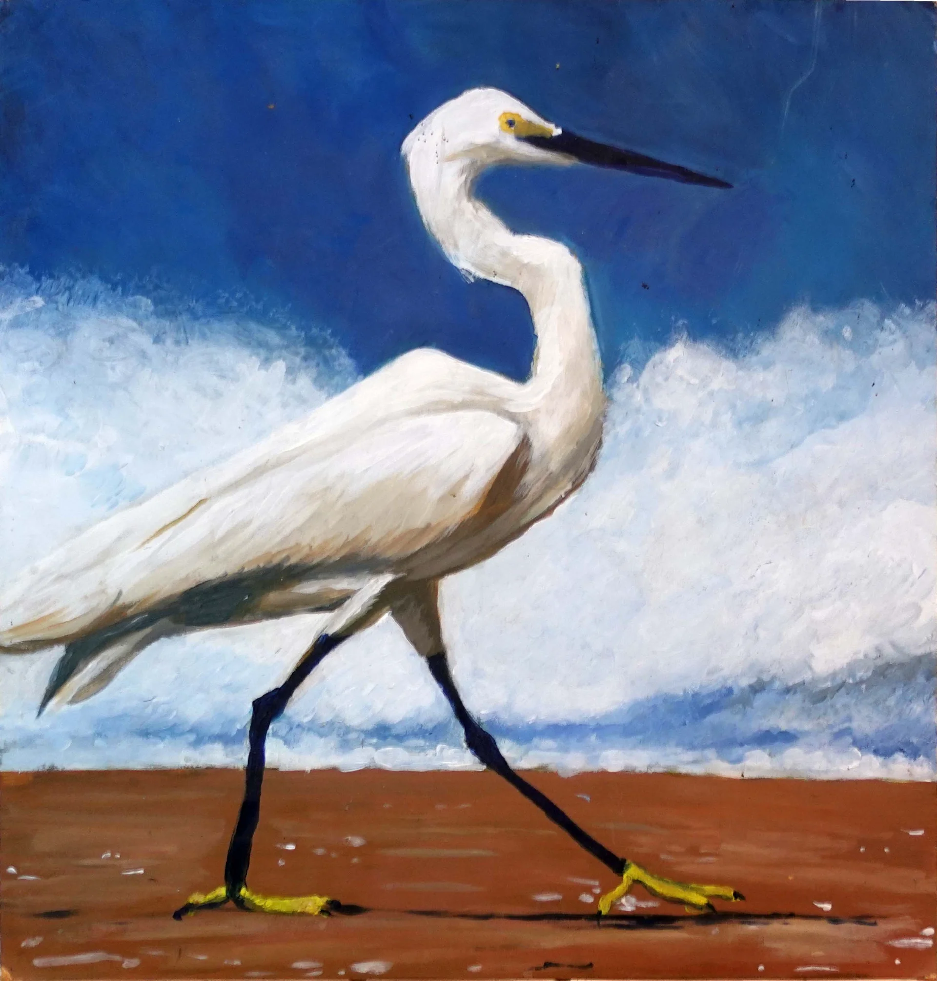 White Heron by the Shore