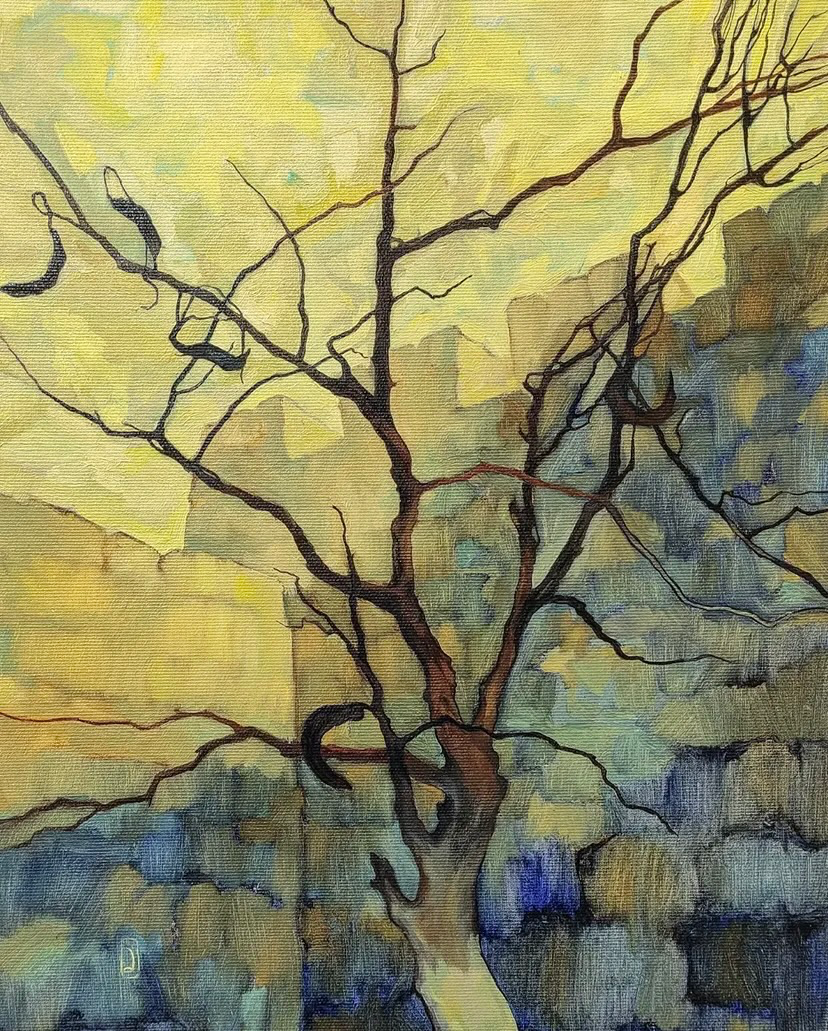 Carob tree near the walls of Old City