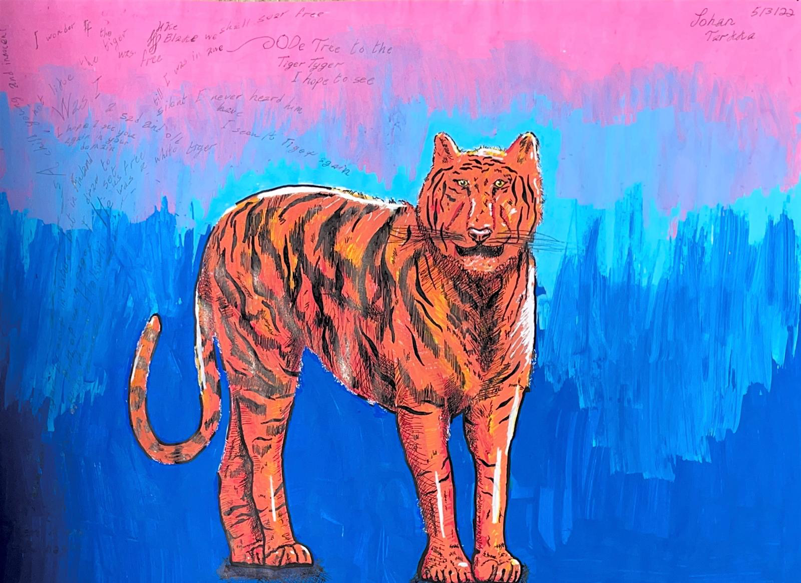Tiger in Electric Blue