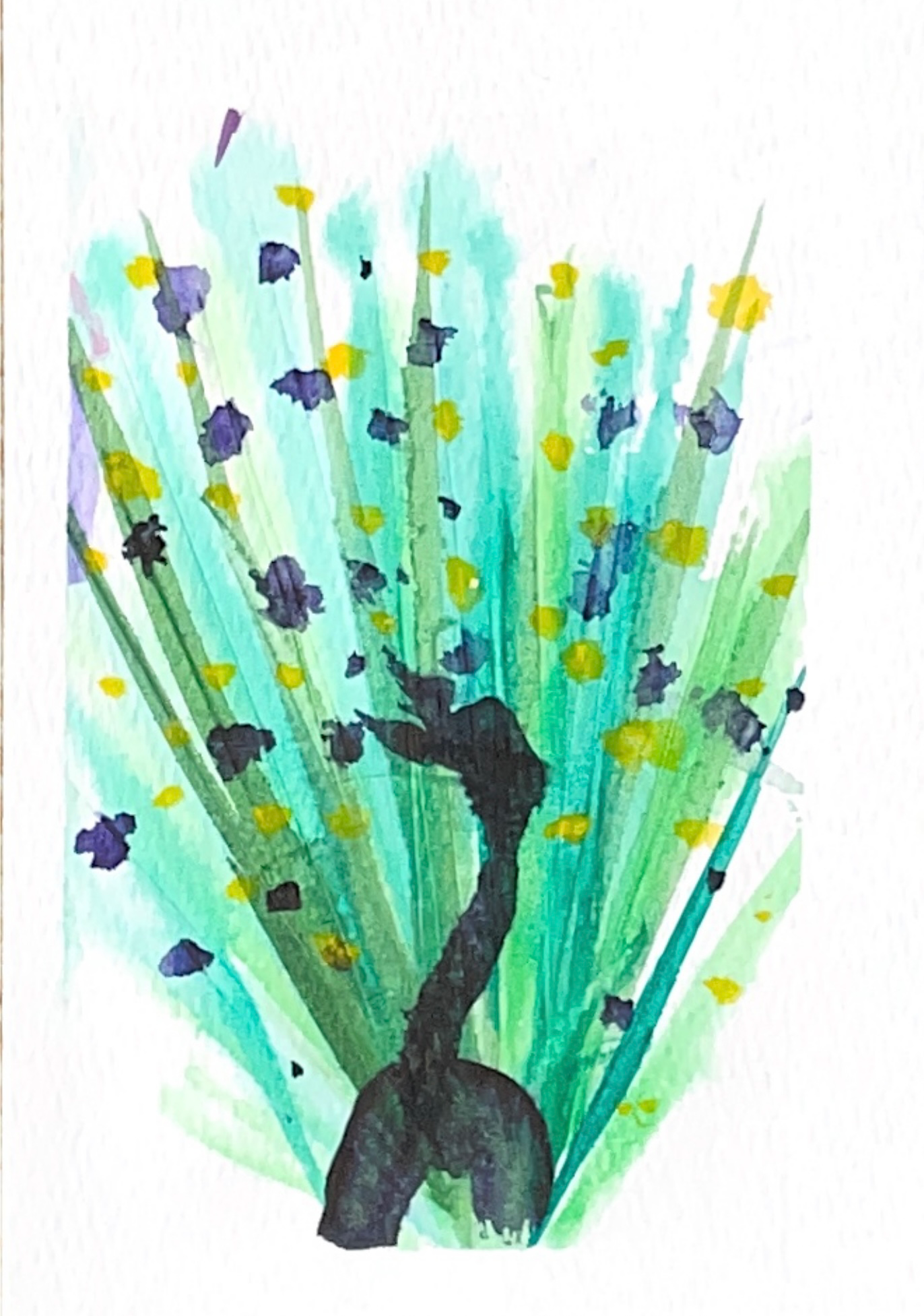 Spring Burst peacock