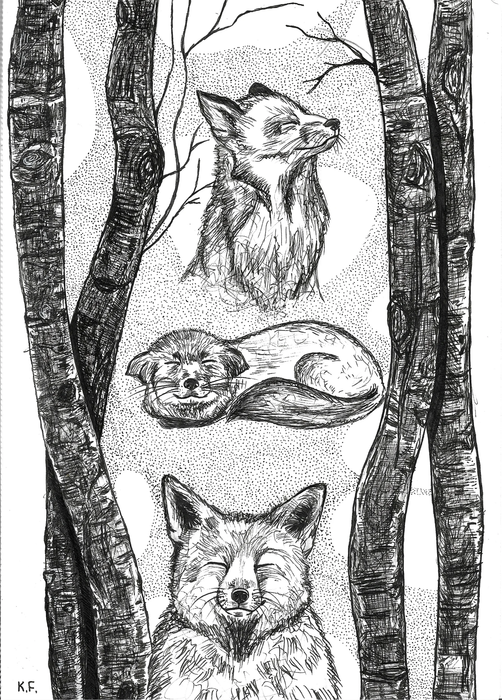 Between the trees